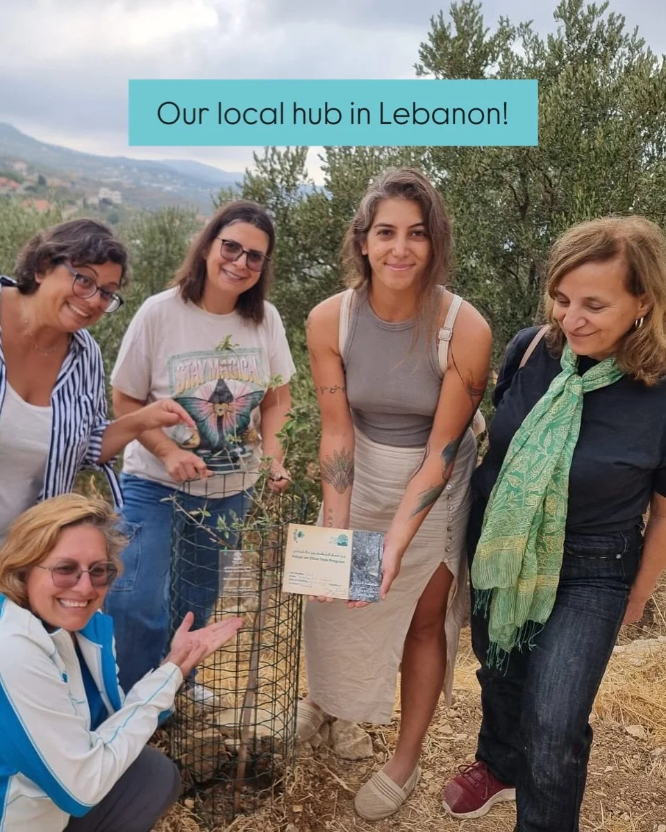 This weekend, our Wanderful Lebanon hub came together for a fun and meaningful day! 🌿 

First, they planted an olive tree in the name of Wanderful Lebanon, a symbol of growth, community, and connection. 🩵 

Then the day continued with a rural farm-