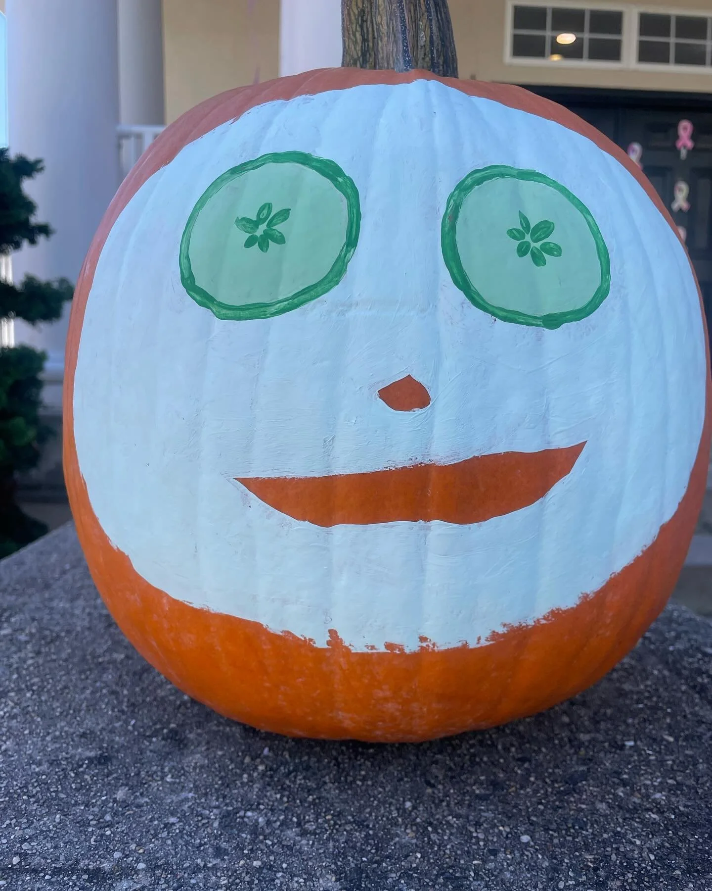 🎃 C T O B E R

Thrills and Chills 💉