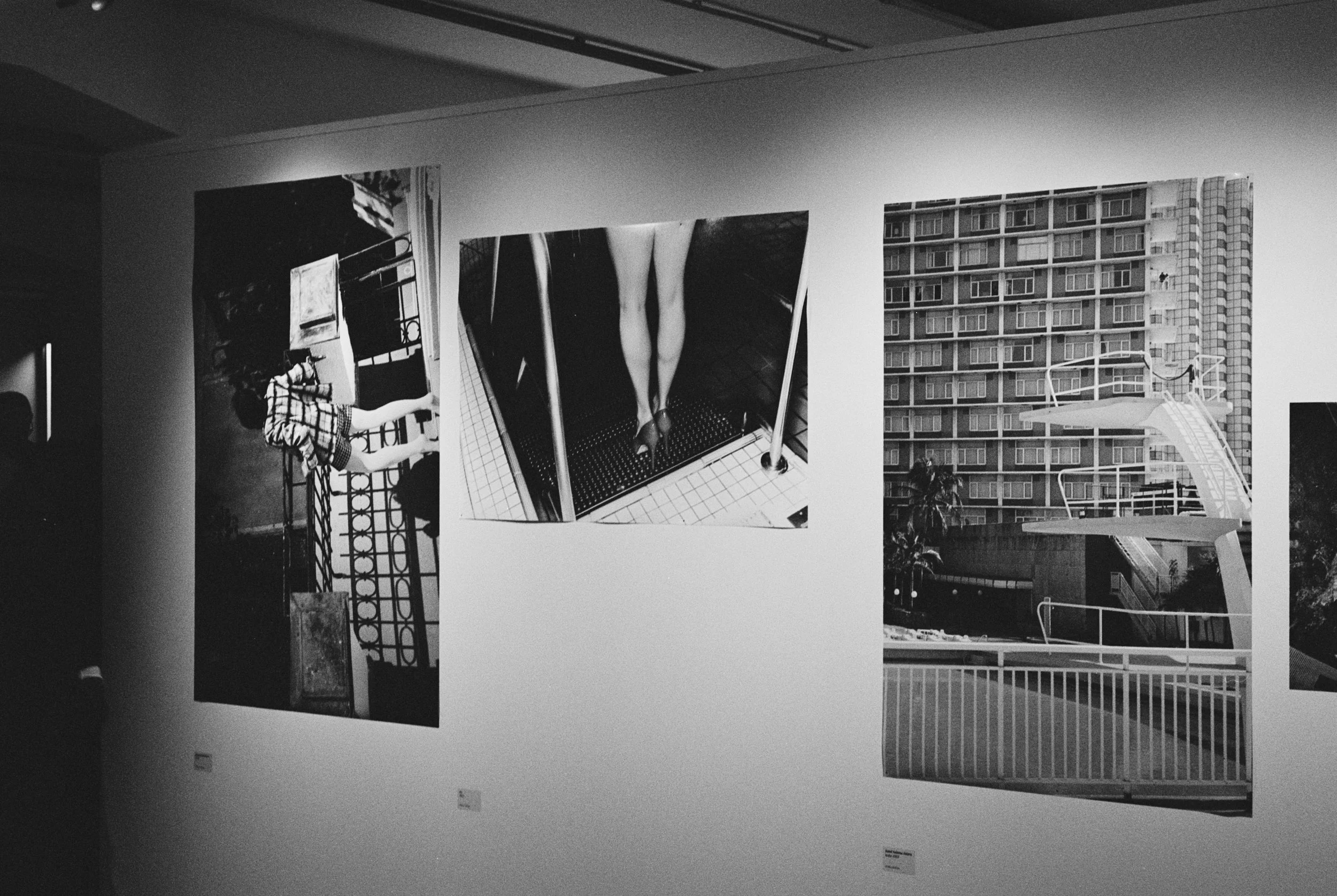 AddiBlo (9 of 37).jpg