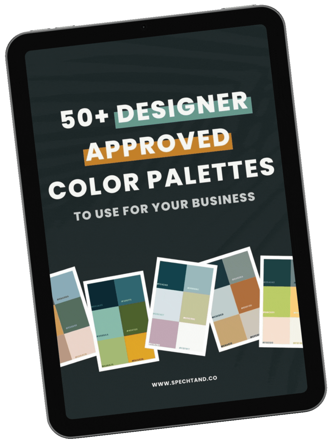 A Beginners Guide To Color Theory — Specht & Co. Creative Studio