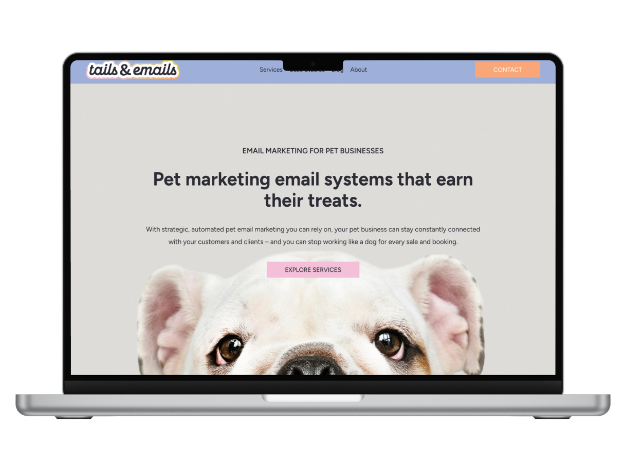 Tails & Emails Website - Email Marketing For Pet Businesses