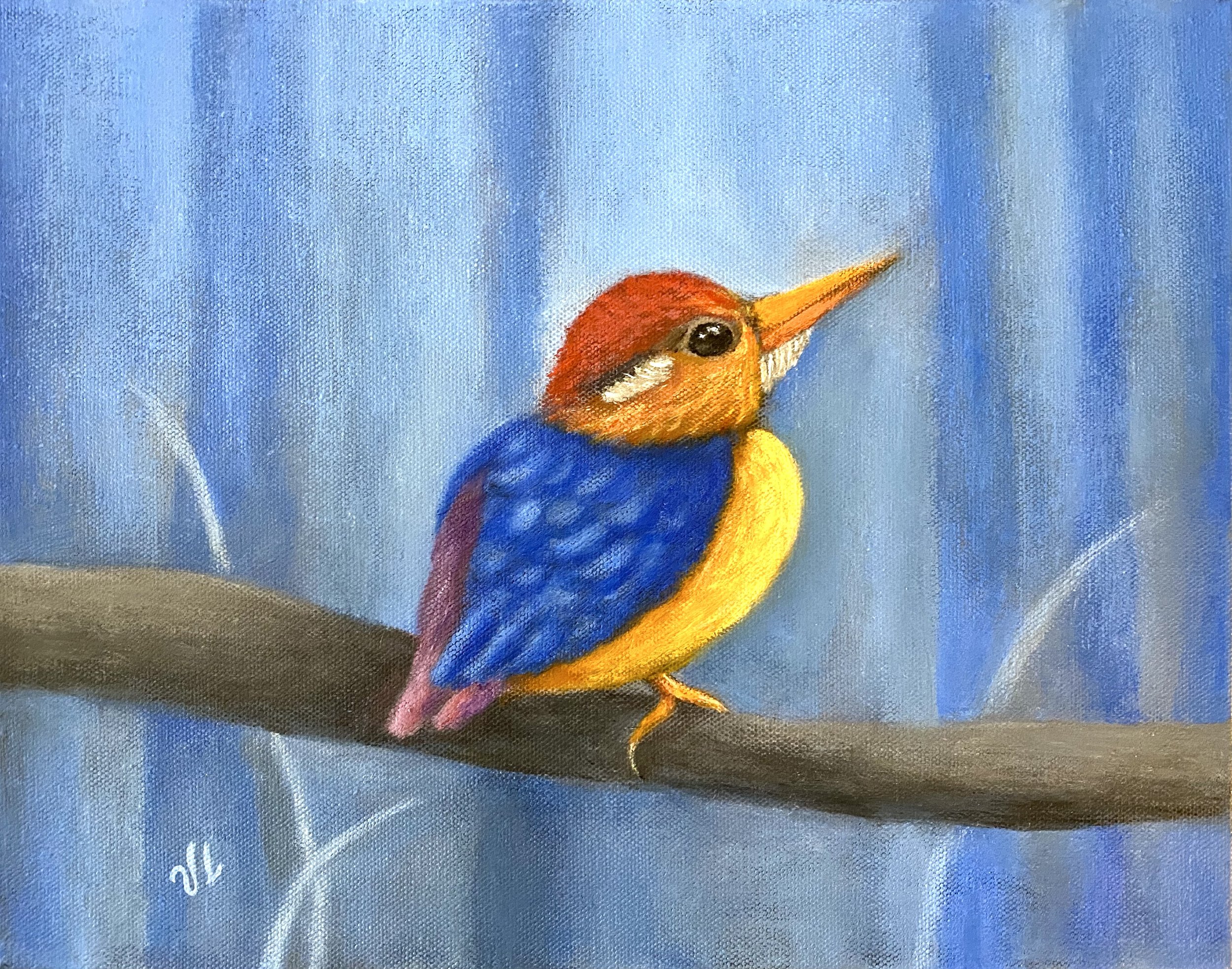 Dwarf Kingfisher