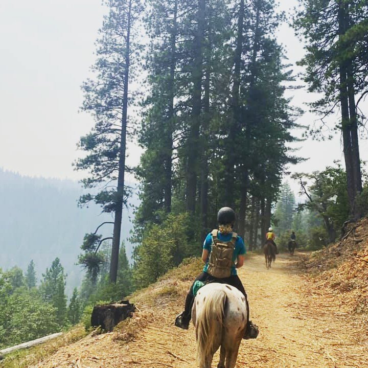 Still unpacking all the experiences and knowledge dropped on me by @adventuristbarbie and @delahunt_dylan last weekend. Creating a path forward to the Derby. I&rsquo;m still in awe of what athletes their horses are. 25 miles at a good clip and not on