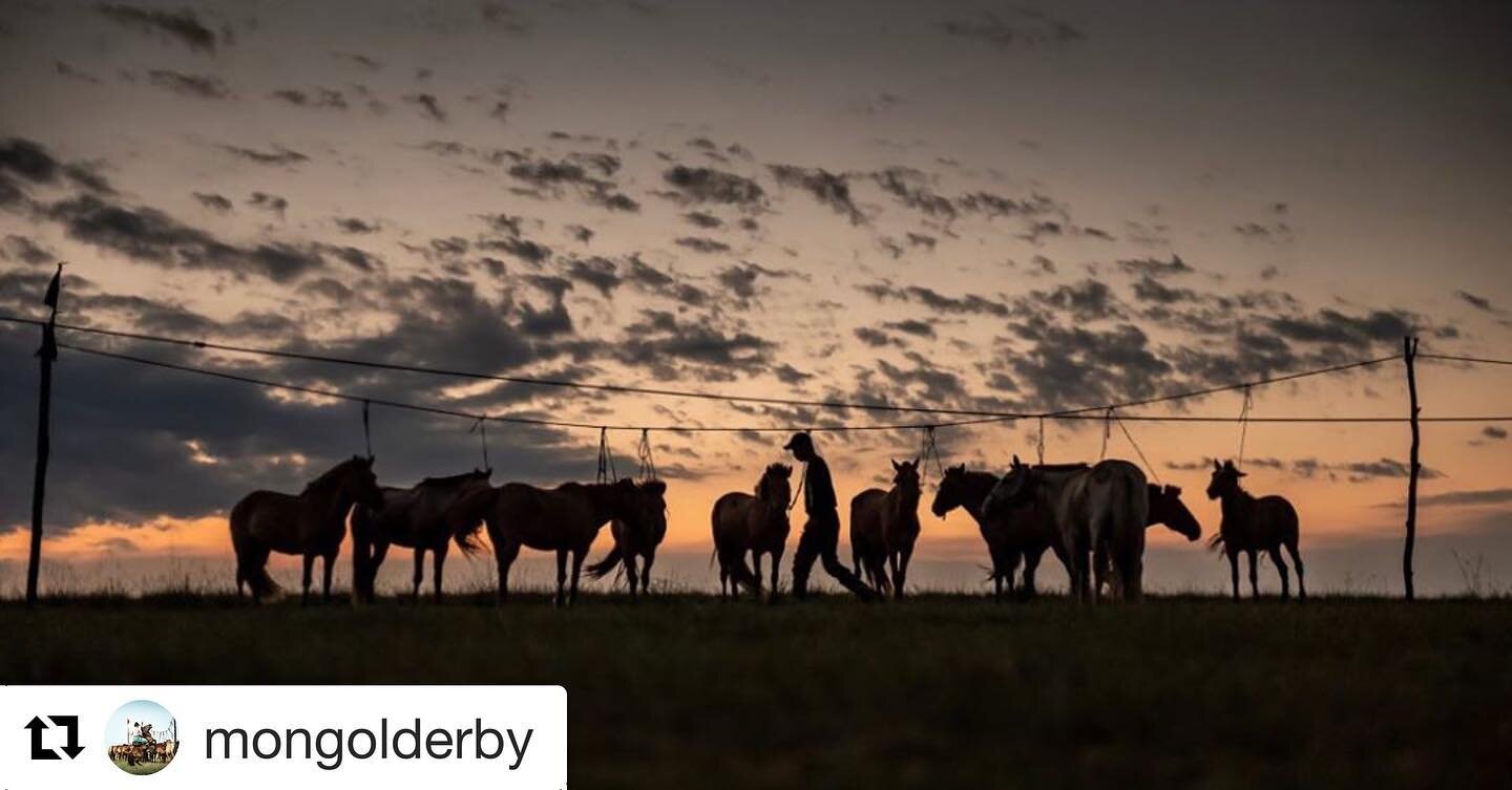 #Repost @mongolderby
・・・
There&rsquo;s an excited calmness on the horse line at sunset.
&bull;
While our brave riders are sleeping our horse herding partners are up throughout the night, watering horses and staking them out to graze so they are fuele