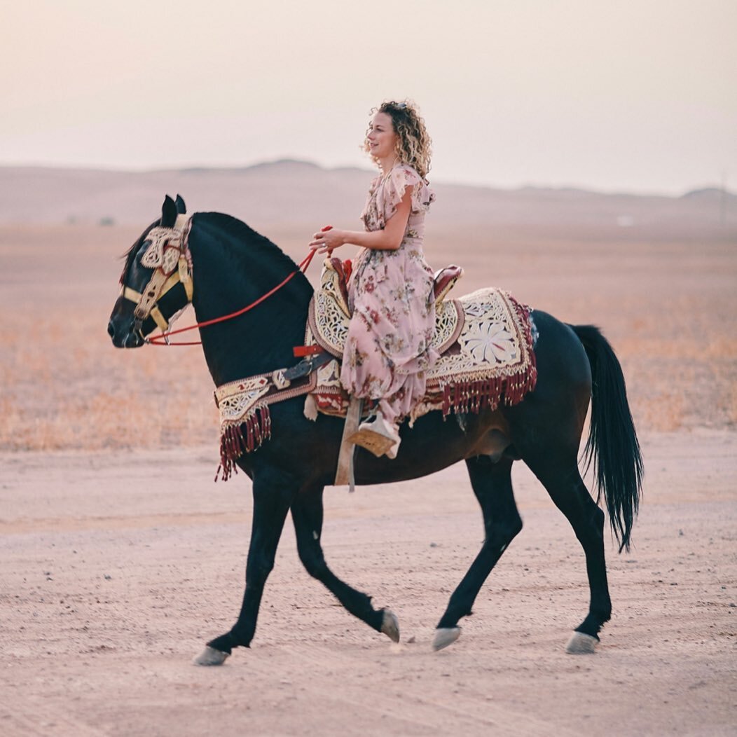 When I got to ride a stud horse at a wedding in the Moroccan desert. Thank you @anoush.pal 🙌✨