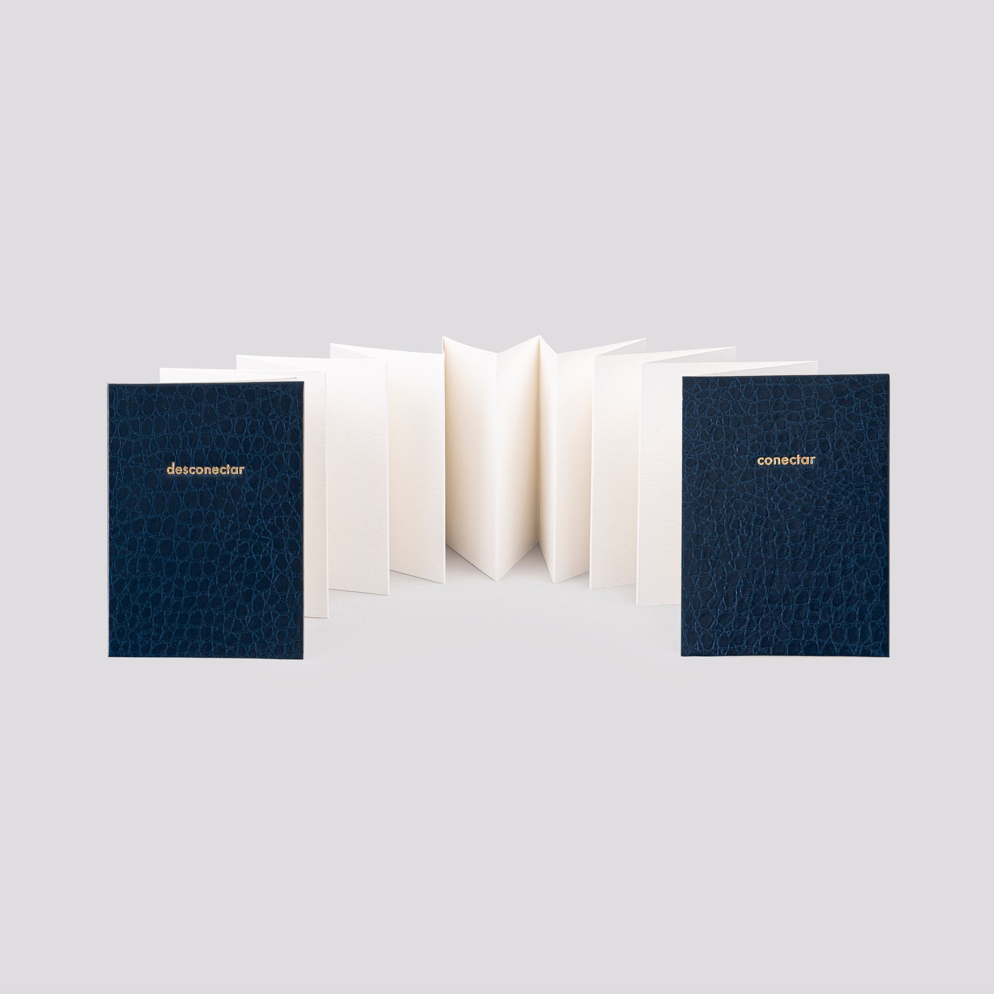inusitado_postcard_notebook_planner.jpg