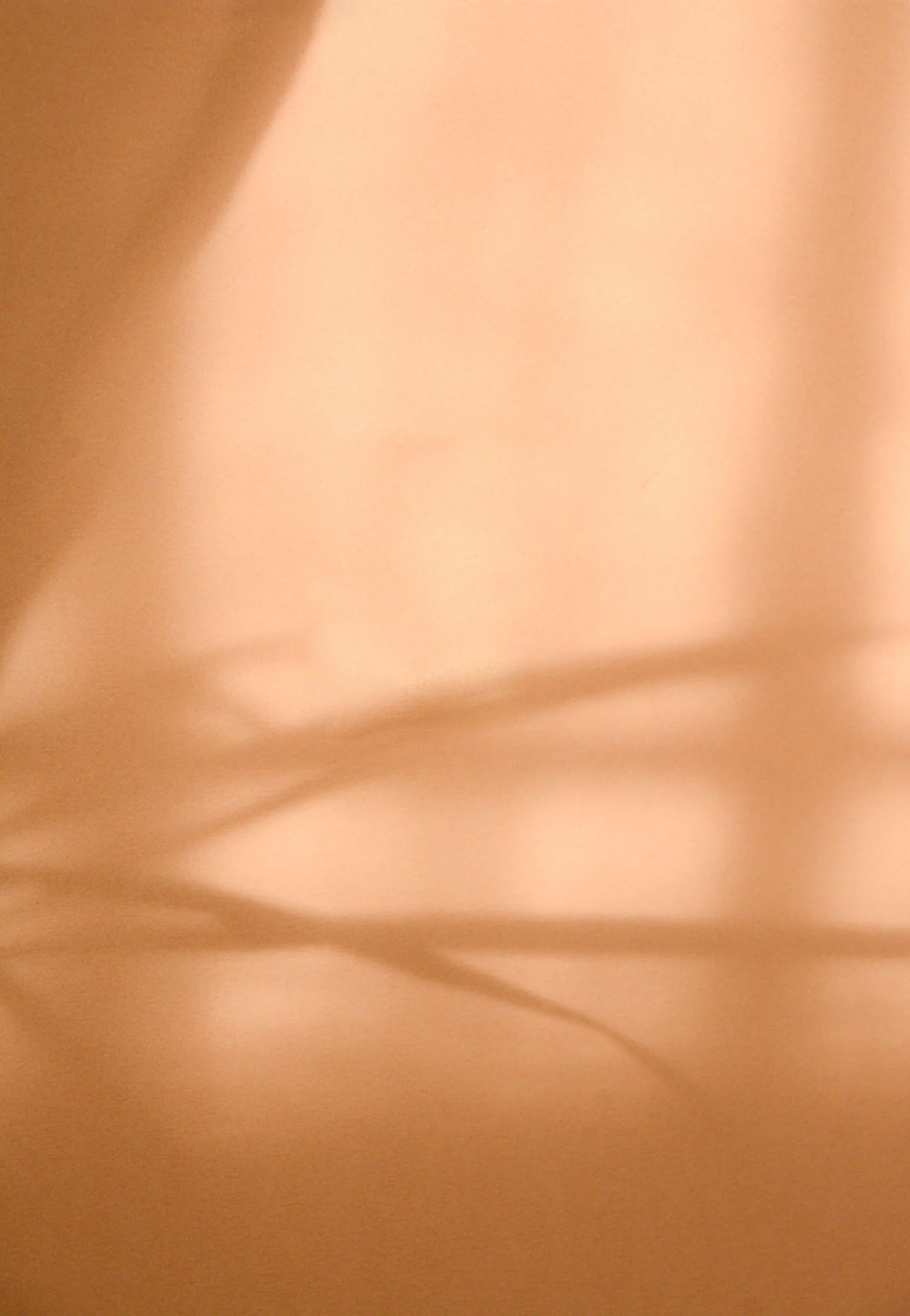 Coral shadows.jpg