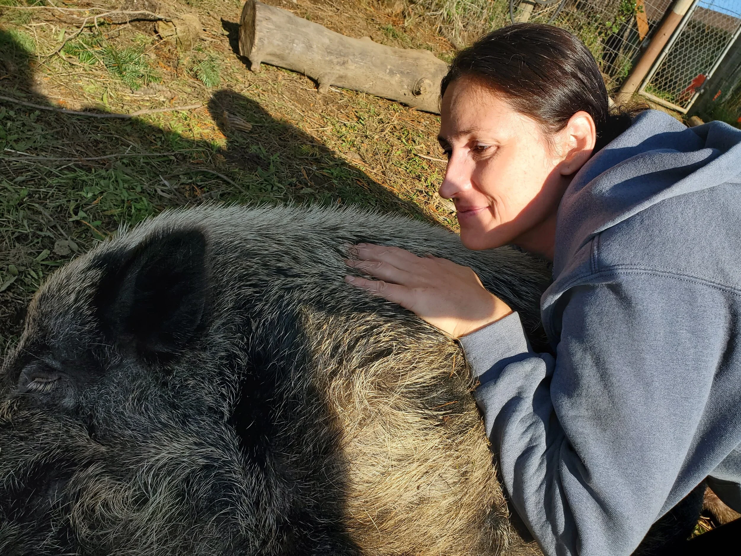 Love my piggy clients