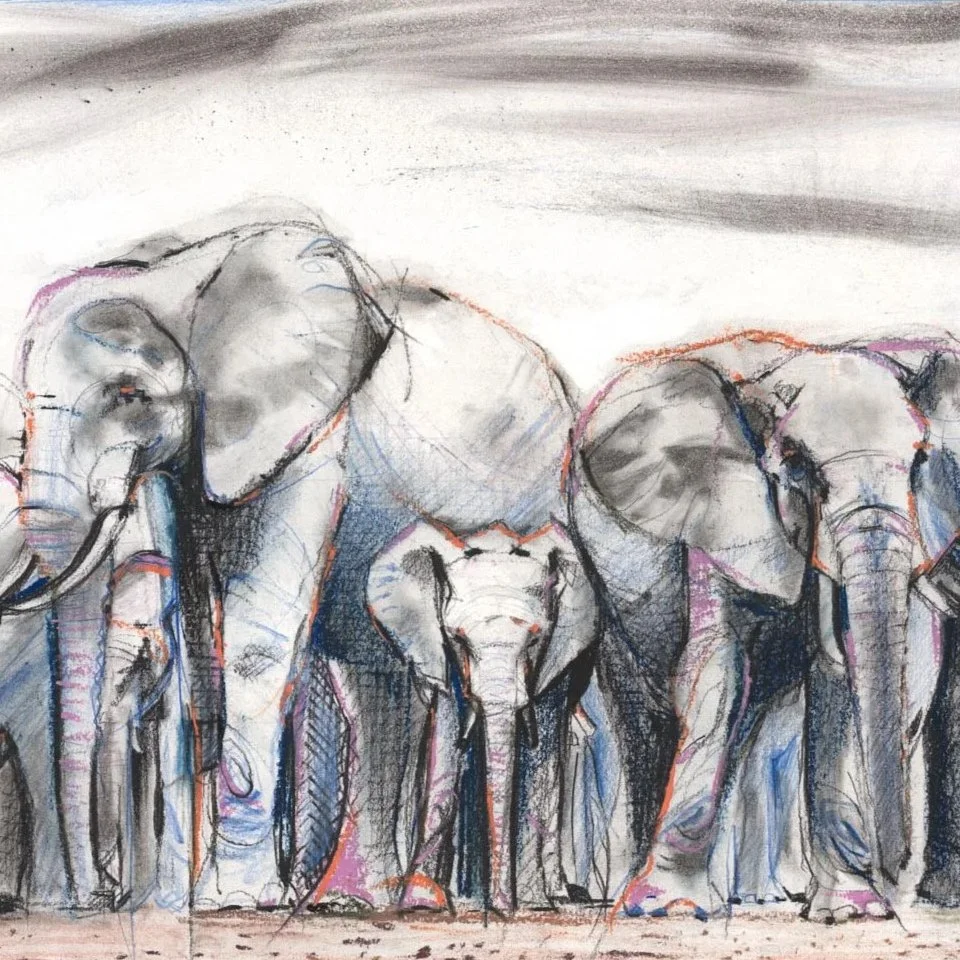 Sarah Salaman . Birth: A Protective Circle. 