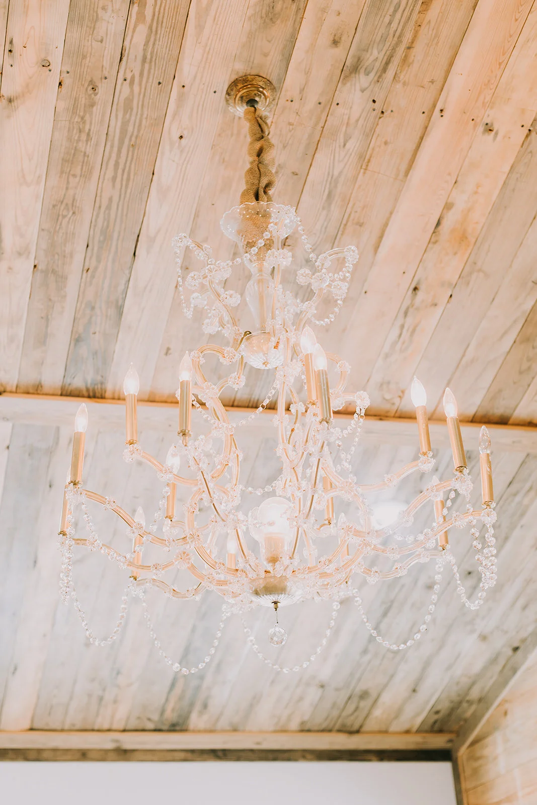 Erica Harris Photography