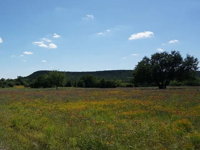 Nothing but blue skies from now on! SCR in May