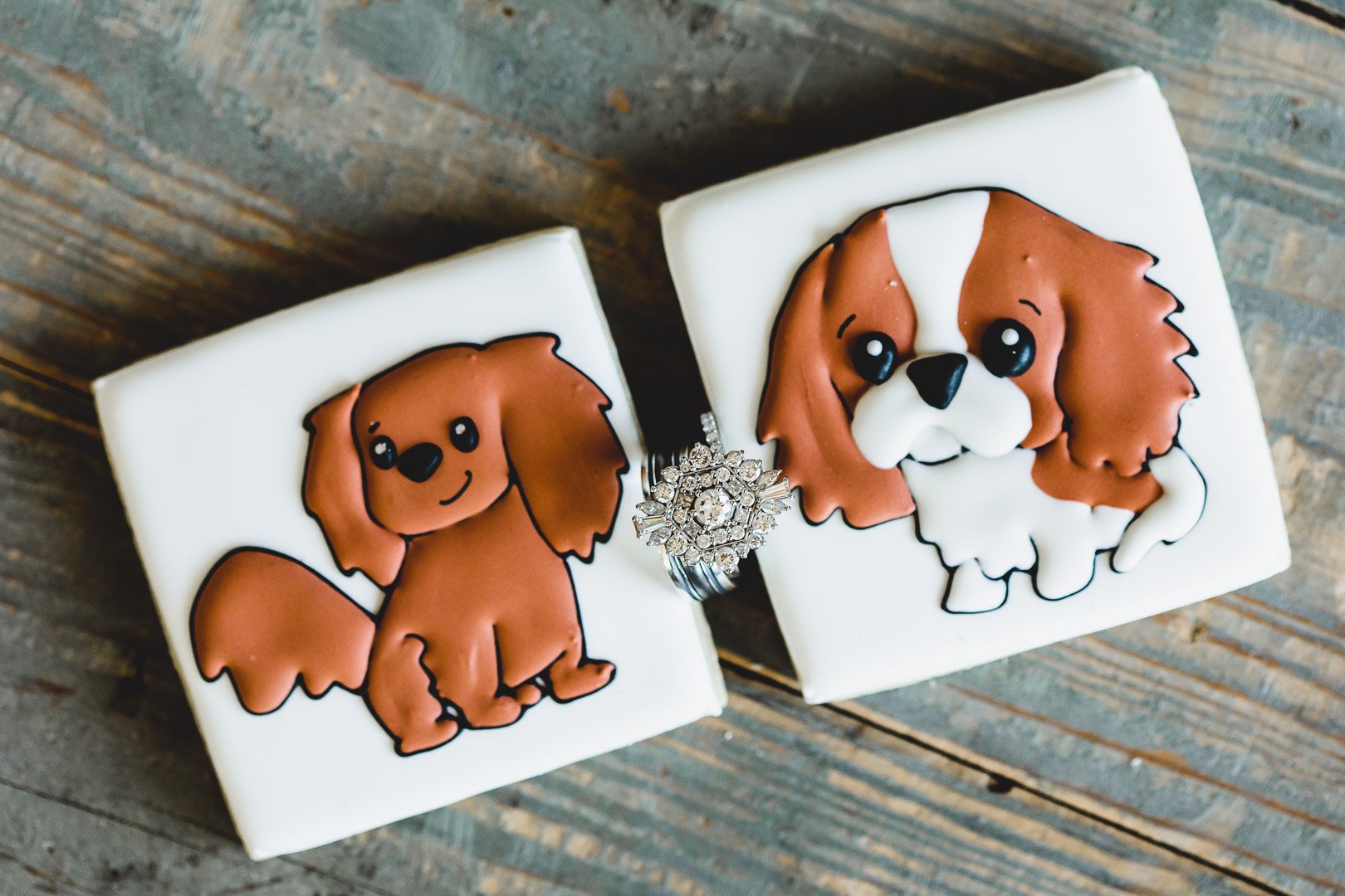 dogs-at-wedding-and-decor-invites-cookies (2).jpg