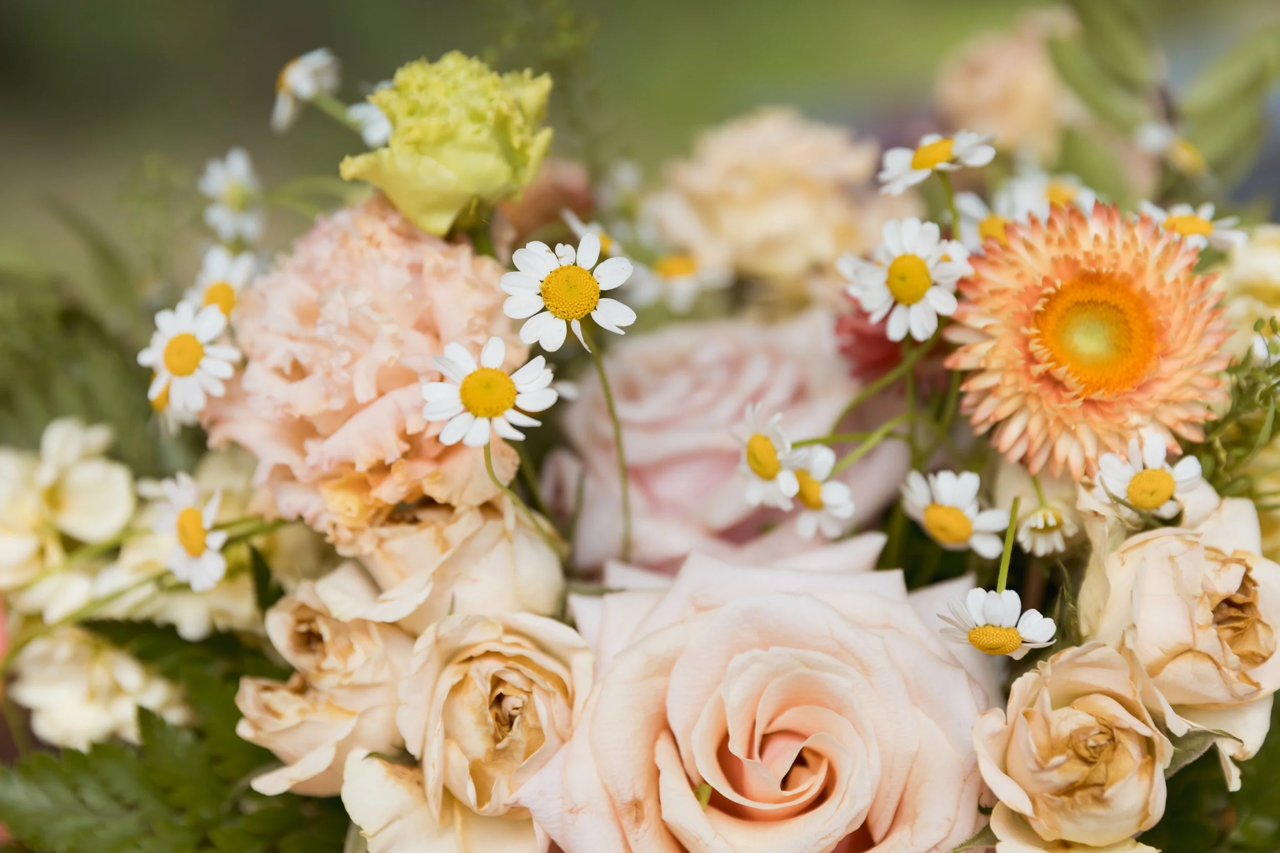 spring-wedding-sparrow-creek-ranch-north-tx (47).jpg
