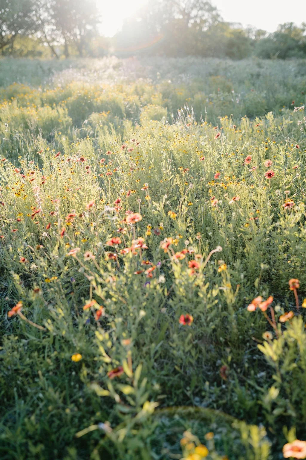 astone-photography-dfw (45).jpg