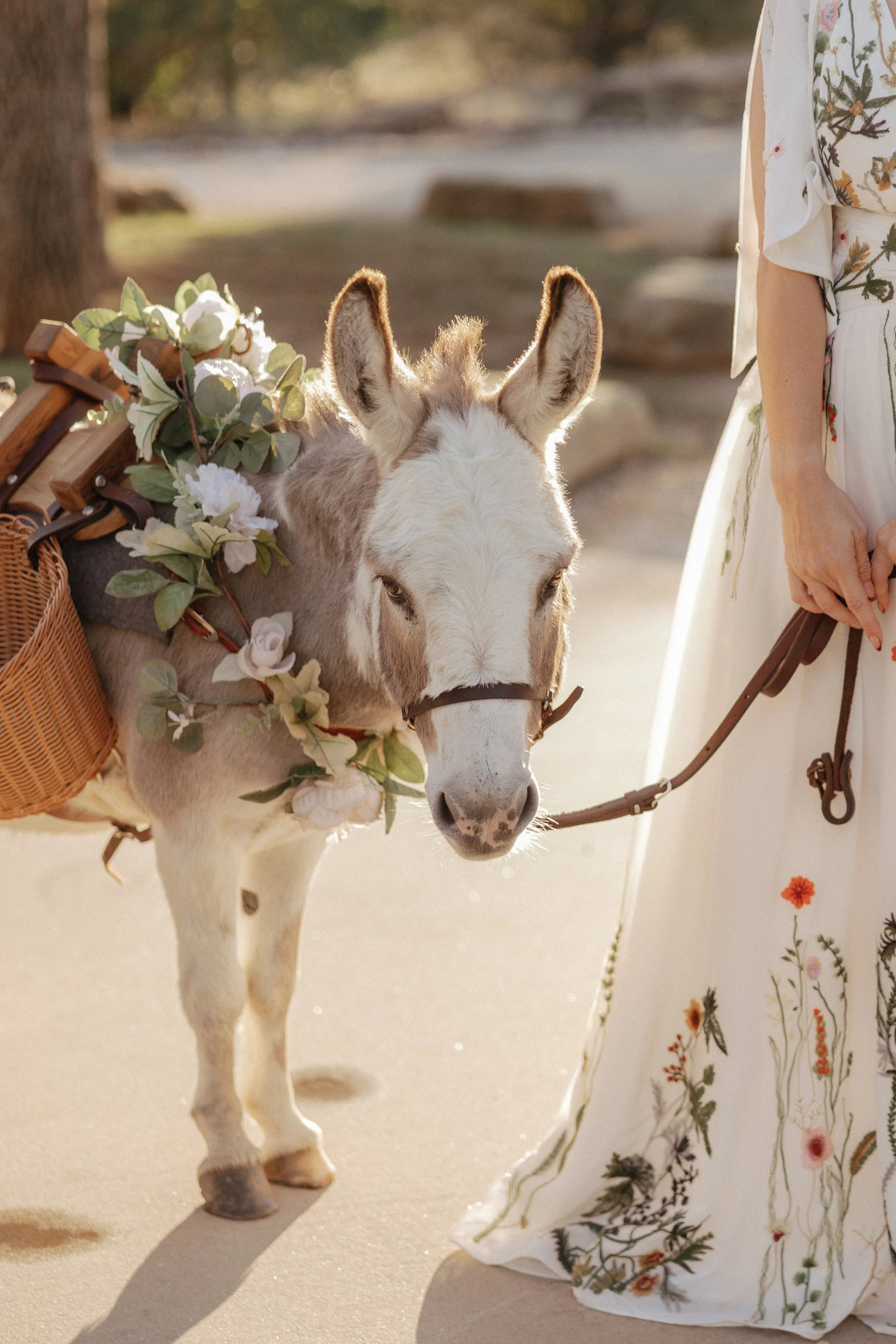 sparrow-creek-ranch-vintage-vibes-wedding (2).jpg
