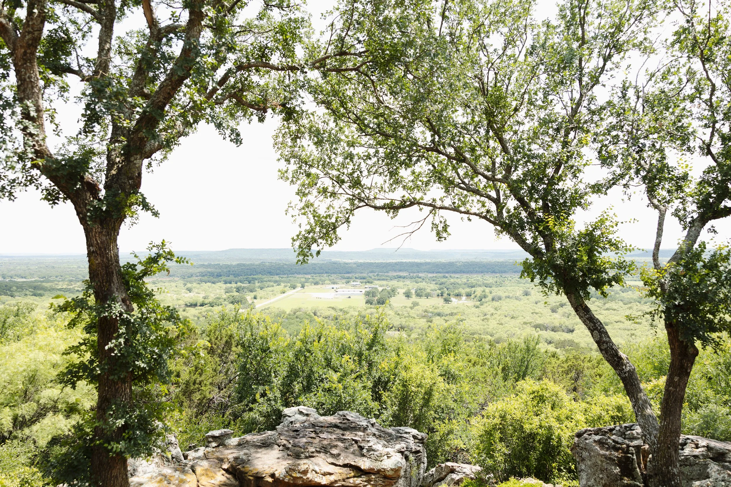 sparrowc-creek-ranch-north-tx-wedding-venue-spring (20).jpg