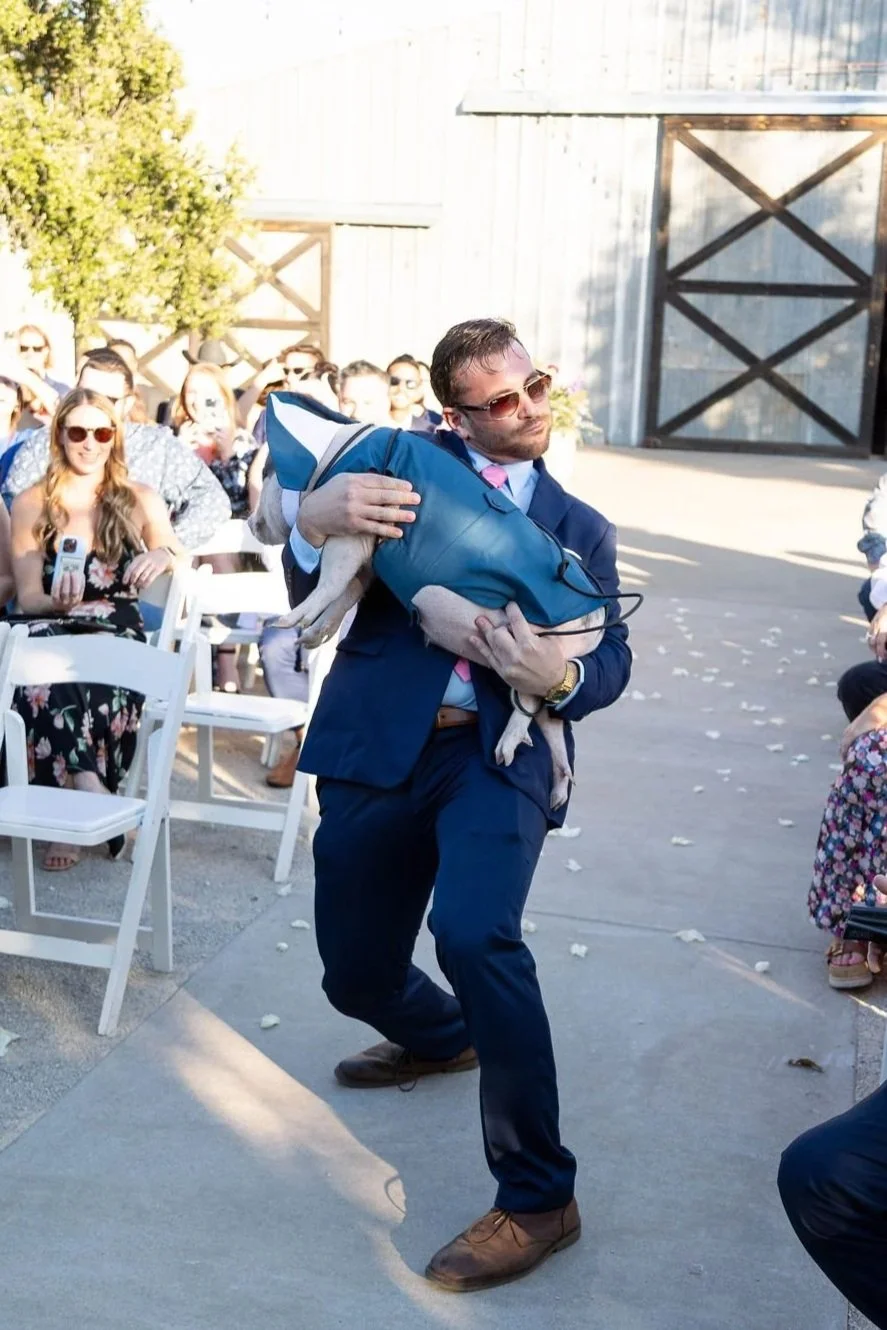 pet-pig-wedding-texas-couple+%281%29.jpg