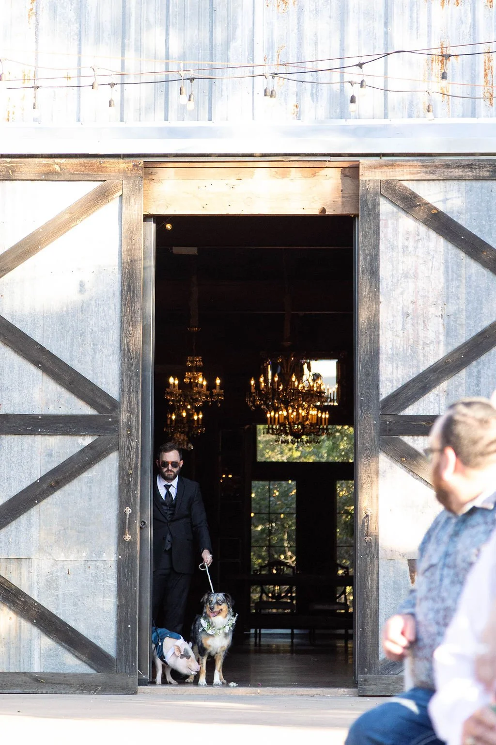 pet-pig-wedding-texas-couple (9).jpg