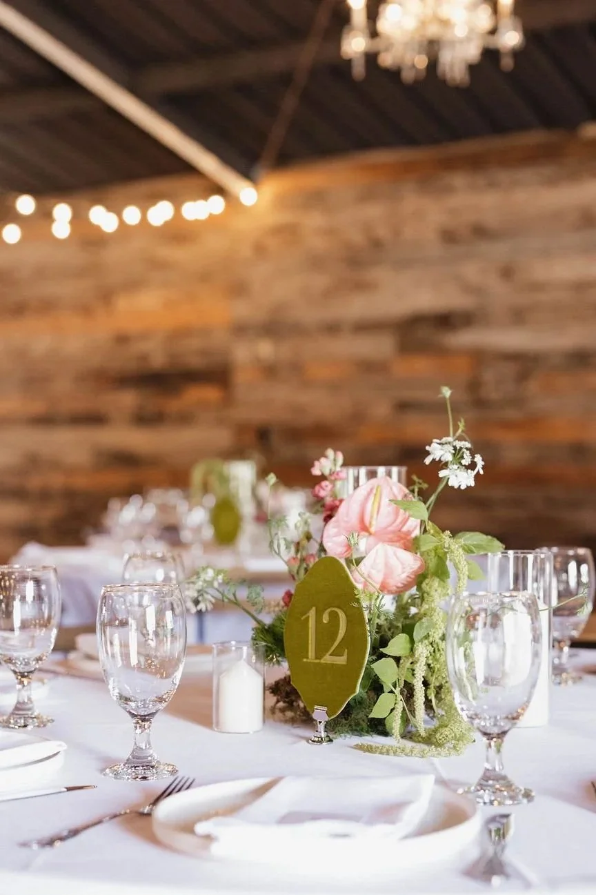black-tie-ranch-wedding-dfw+%2843%29.jpg