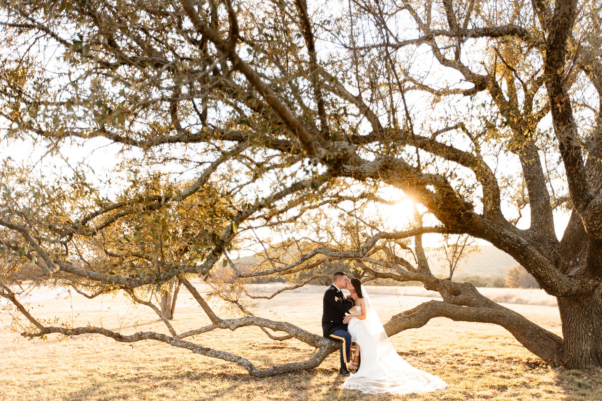 Couple sitting in a large oak tree for wedding portraits at sunset.