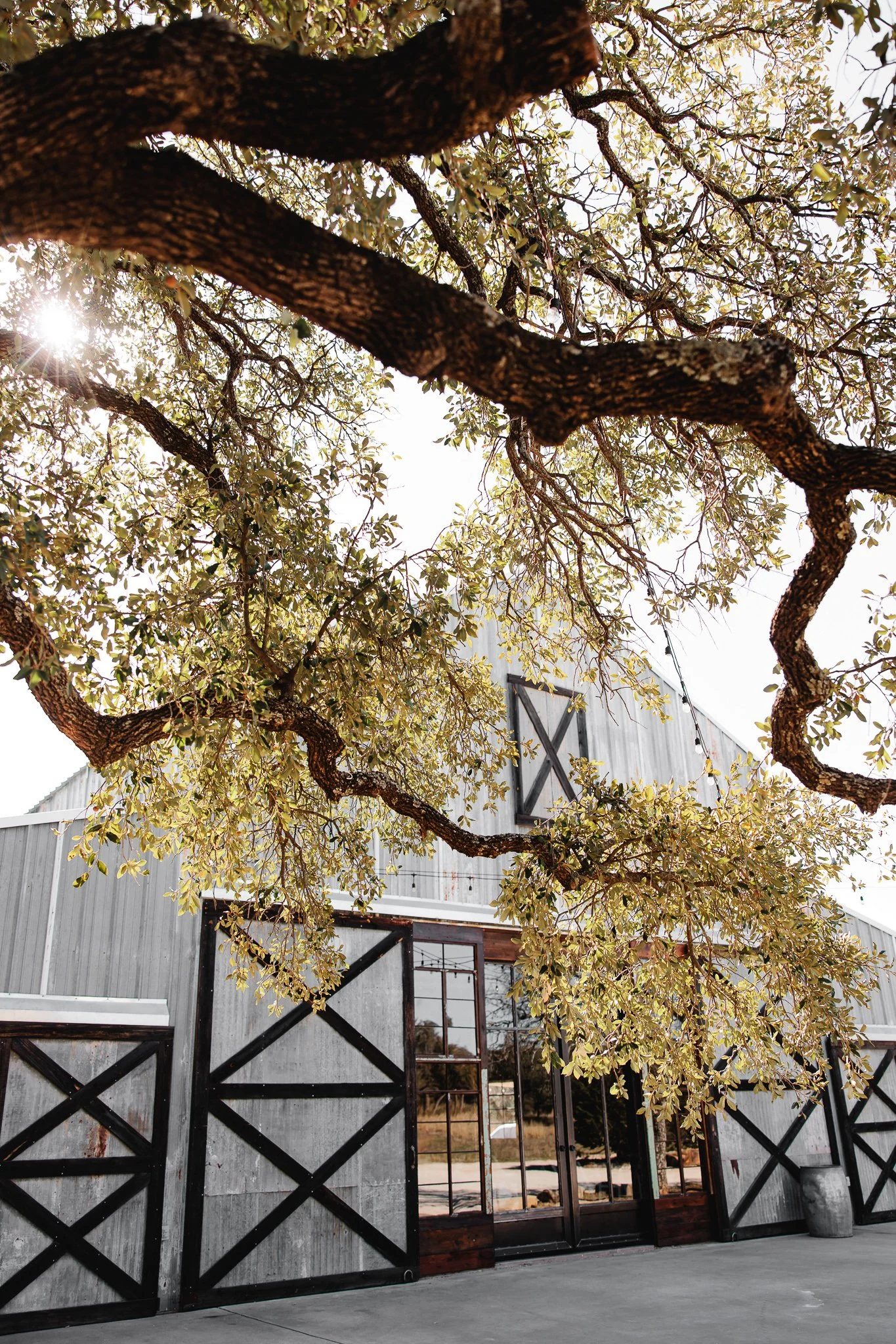 elegant-ranch-wedding-brides-of-north-tx (44).jpg