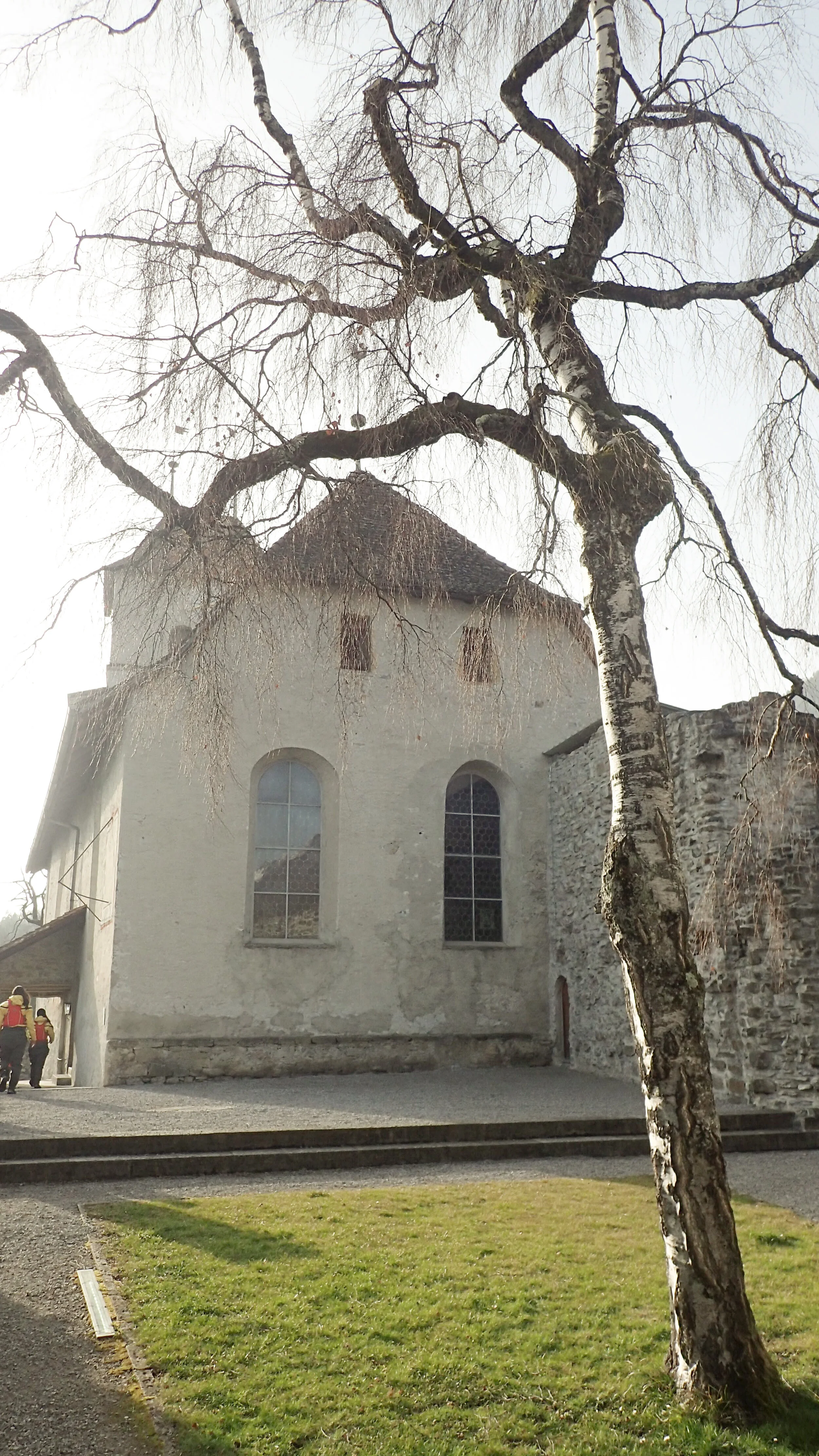 IMG_9186.JPG