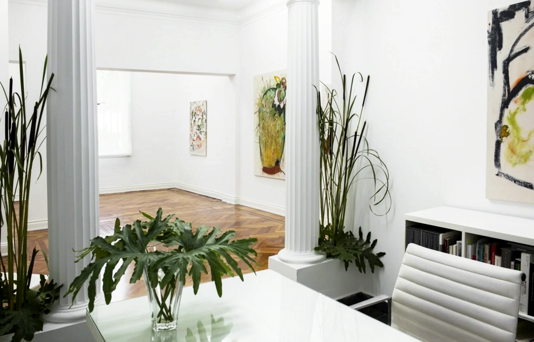 Gaspar Cosmocosa 1.png