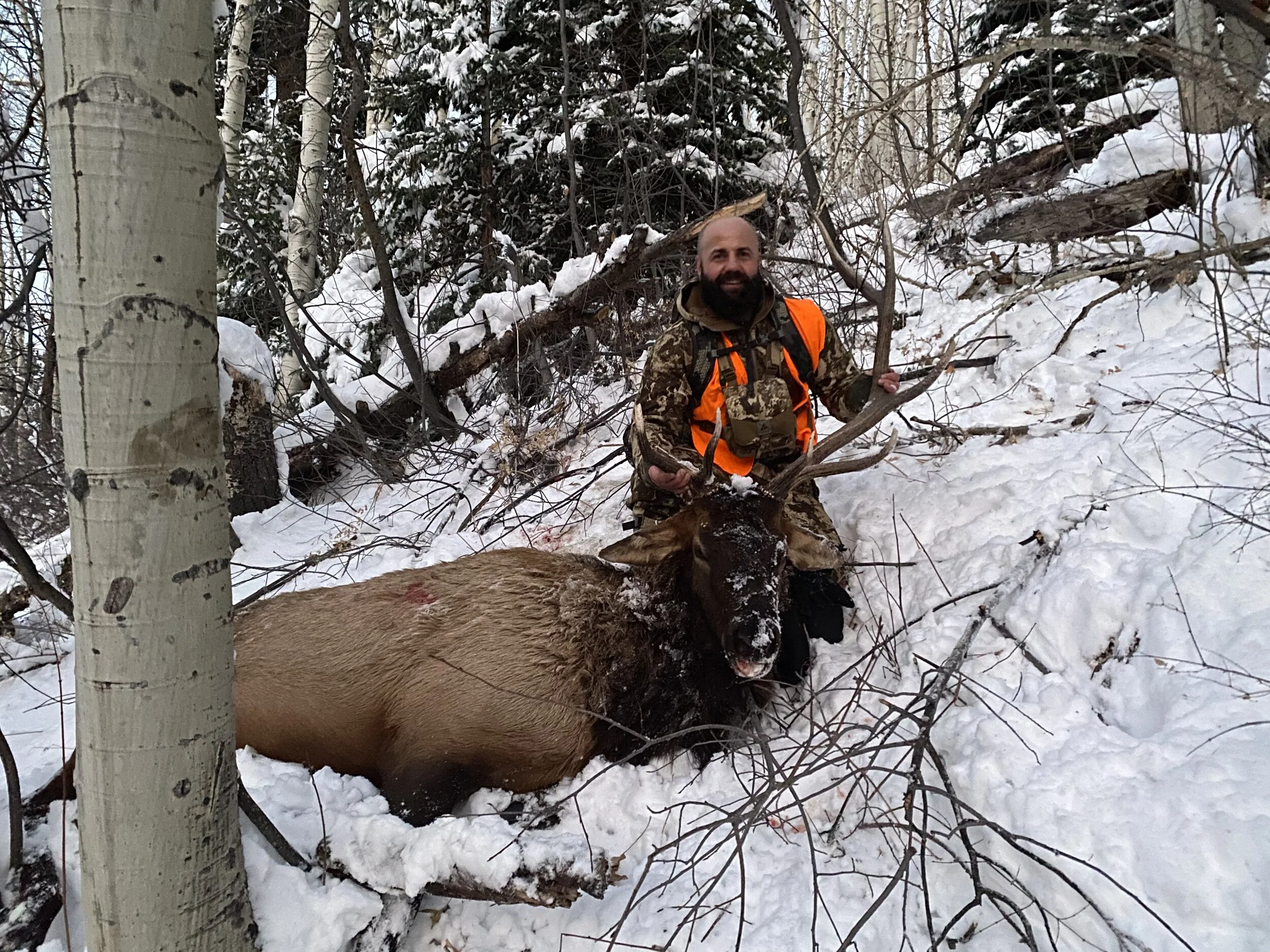 Colorado Big Game Draw Results Now Available Dark Timber Lodge Colorado Big Game Draw Results Now Available Dark Timber Lodge