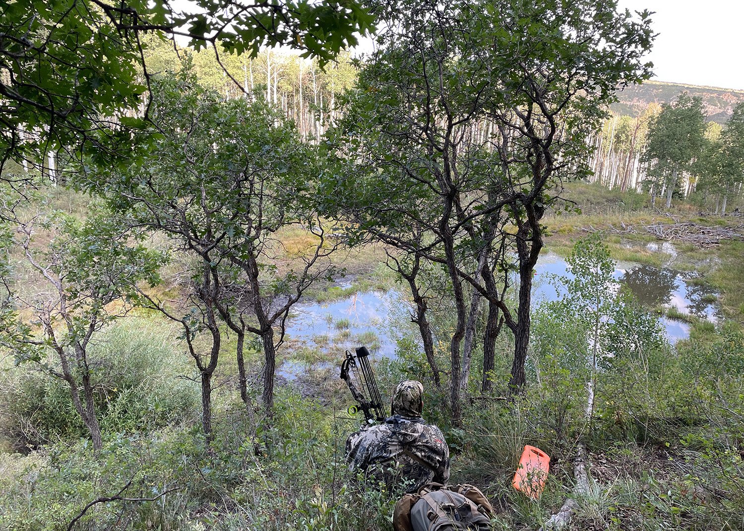 Tips for Elk Hunting Using Water and Wallows