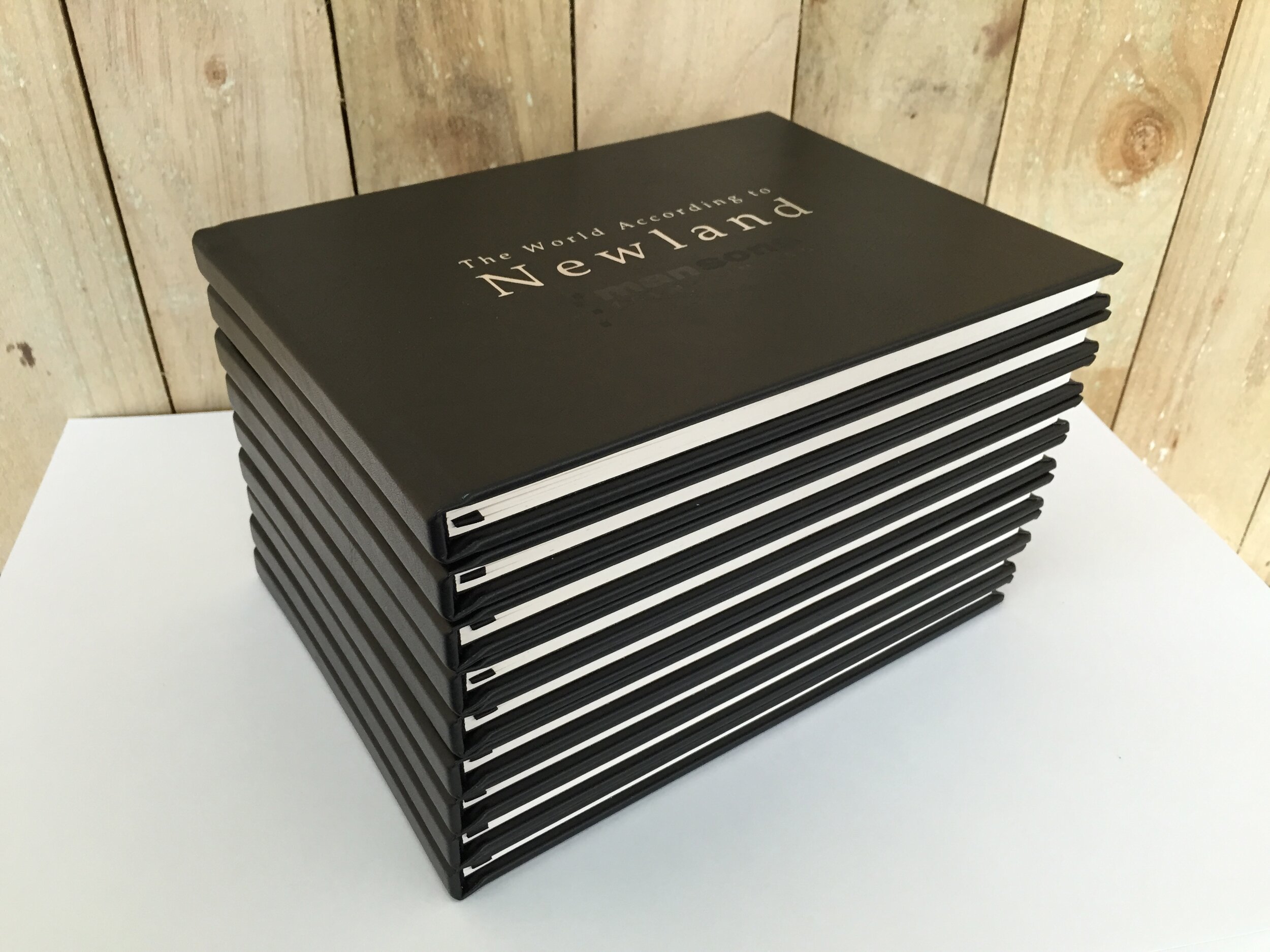 Newton - Cover Design.JPG