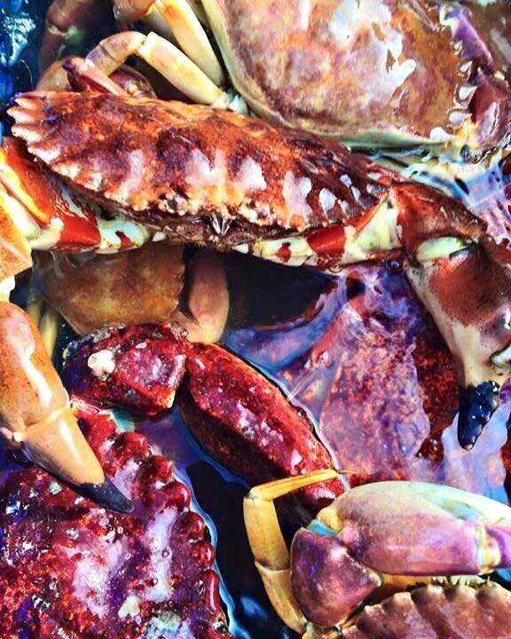 Shop — Tuna Harbor Dockside Market