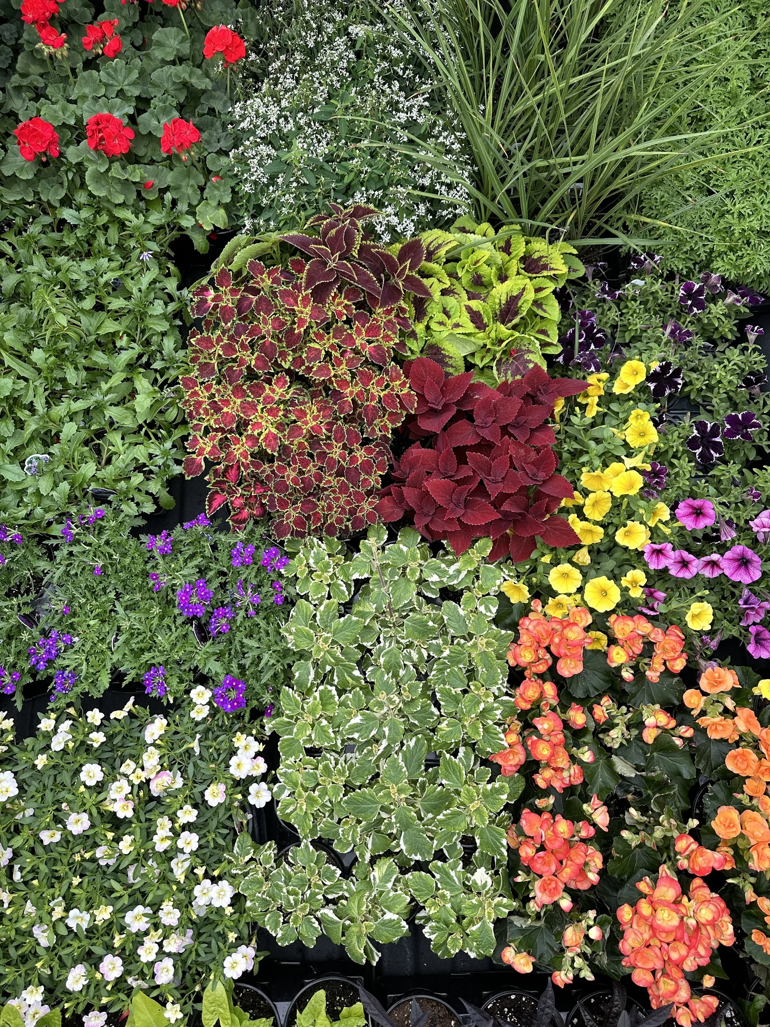 BASEHORE FARM MARKET