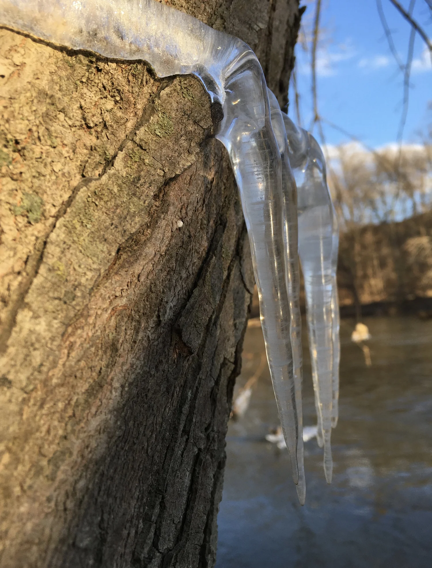 BASEHORE FARM MARKET