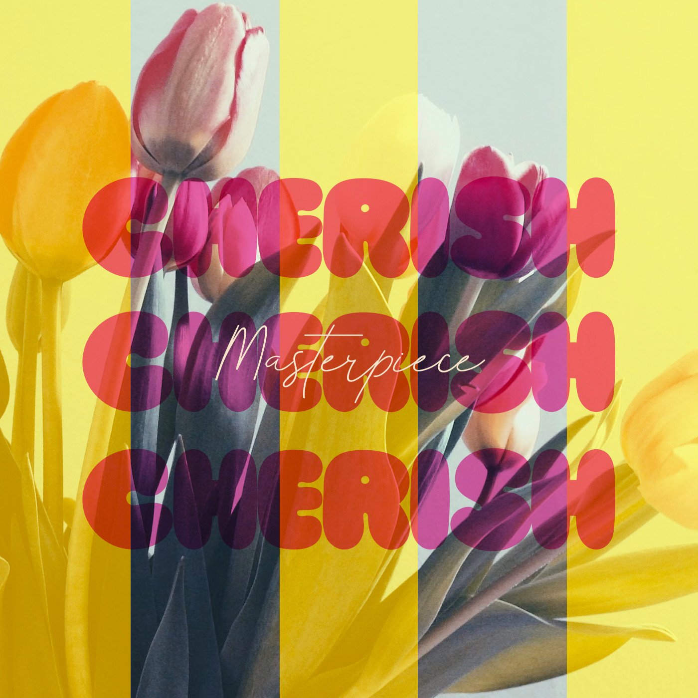 Cherish SPRING Gathering