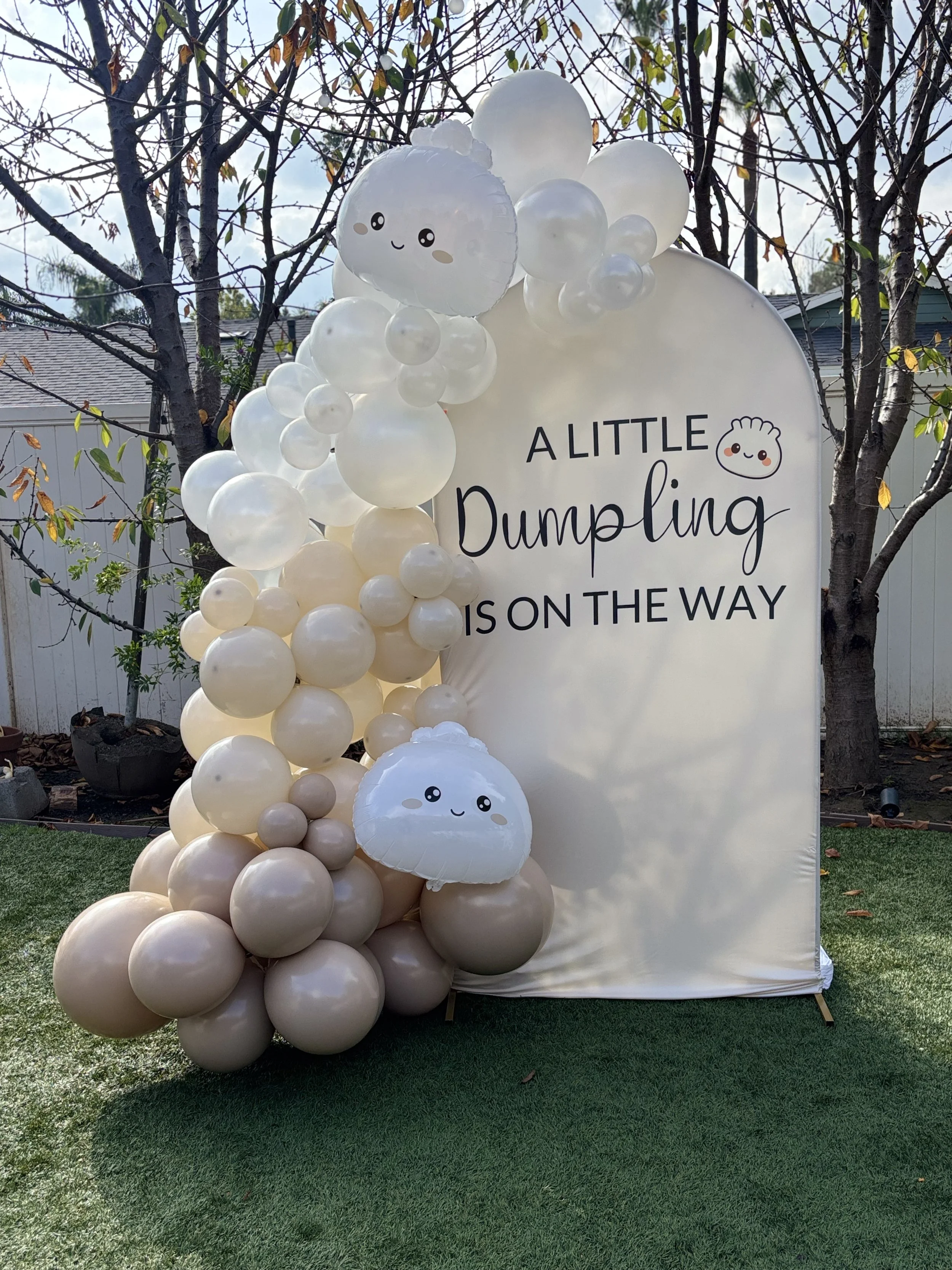 2026-01-24 10.17.09.jpg