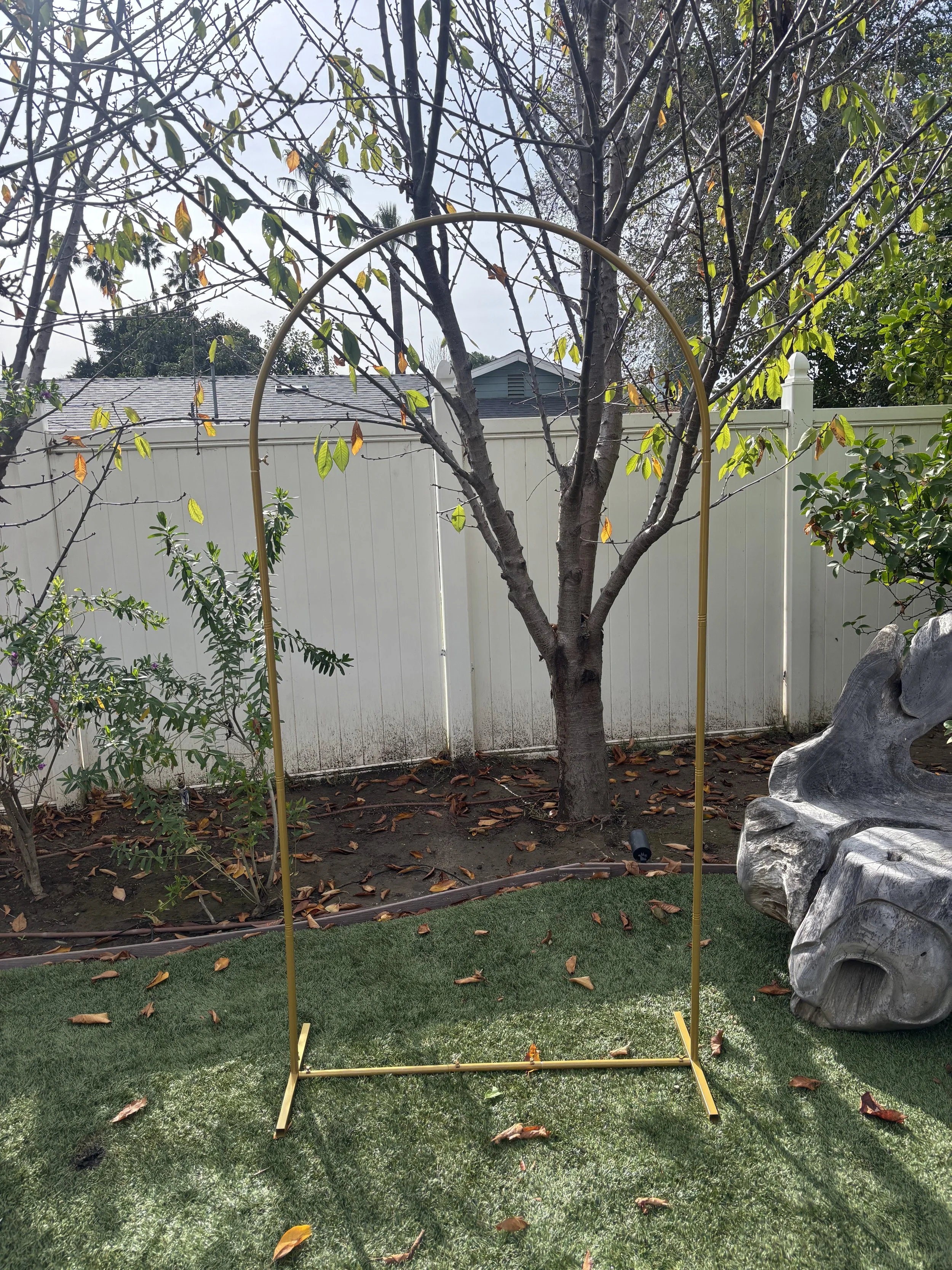 2026-01-25 11.30.52.jpg