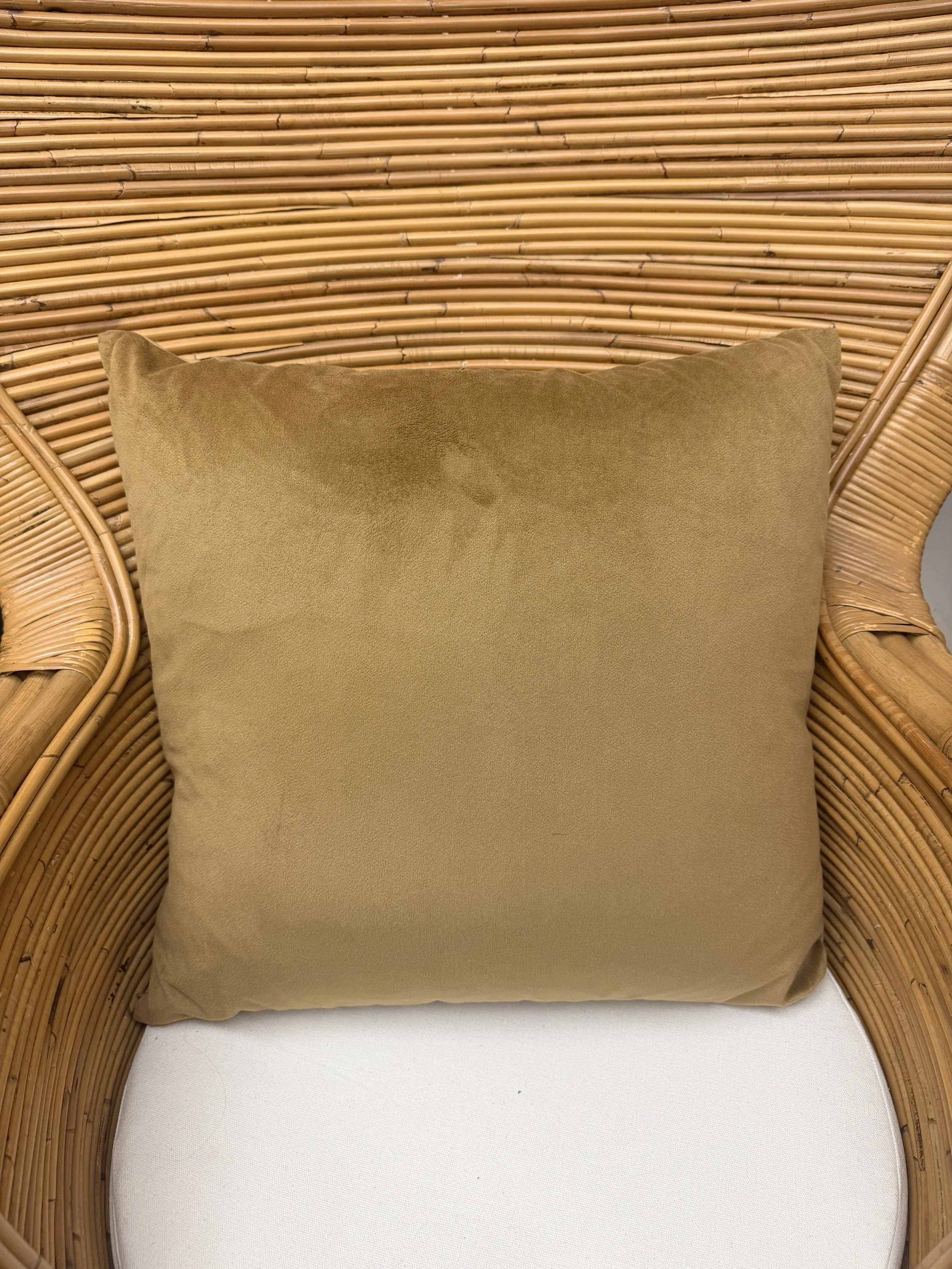 Super Soft Gold Pillow x2.jpg