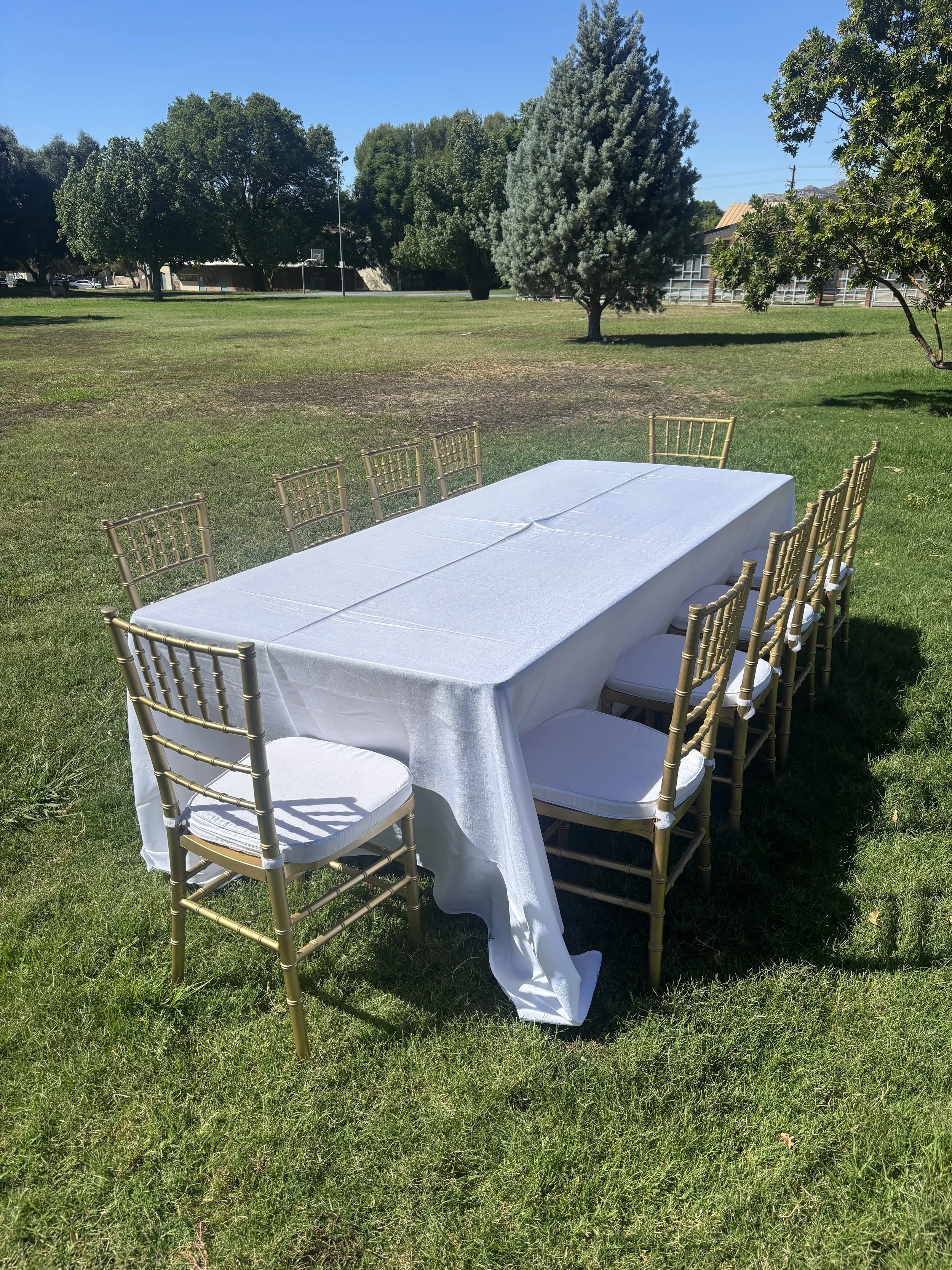 Chiavari Package (Rectangular).jpg
