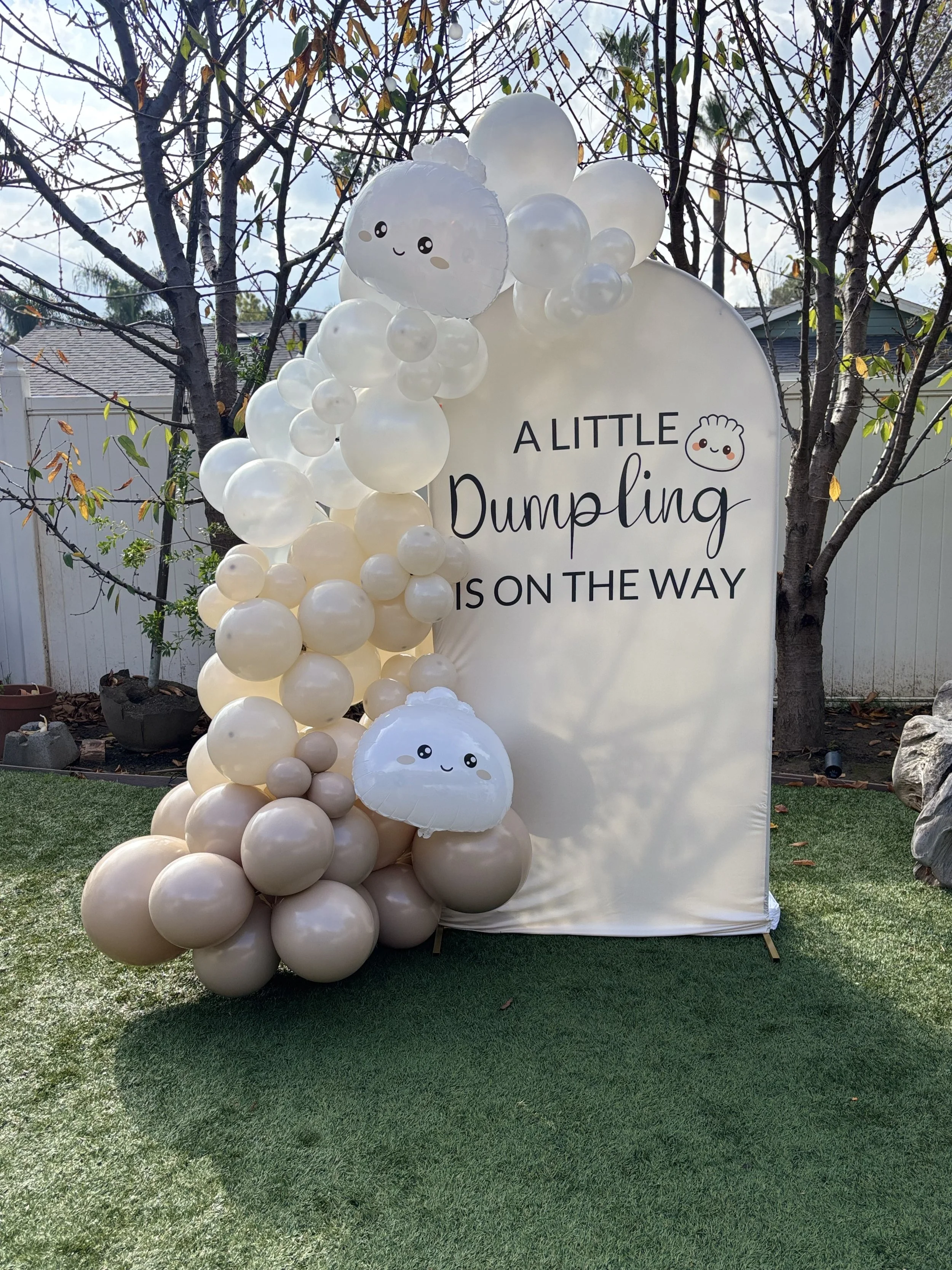 2026-01-24 10.17.11.jpg