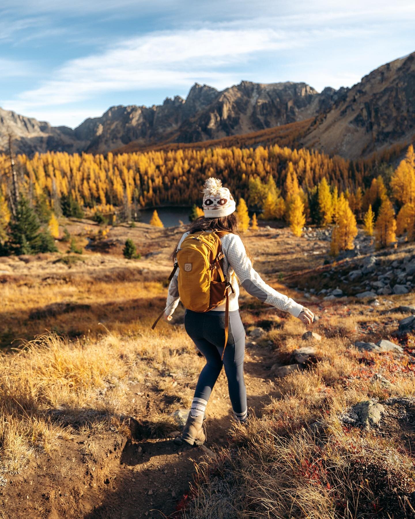 Larch madness! 🤪🌲✨

Here&rsquo;s the photo edition of yesterday&rsquo;s Reel. This place is so nice, I had to post it twice. 🍂

Image captured by @natashaexplores | #explorebc | #canada