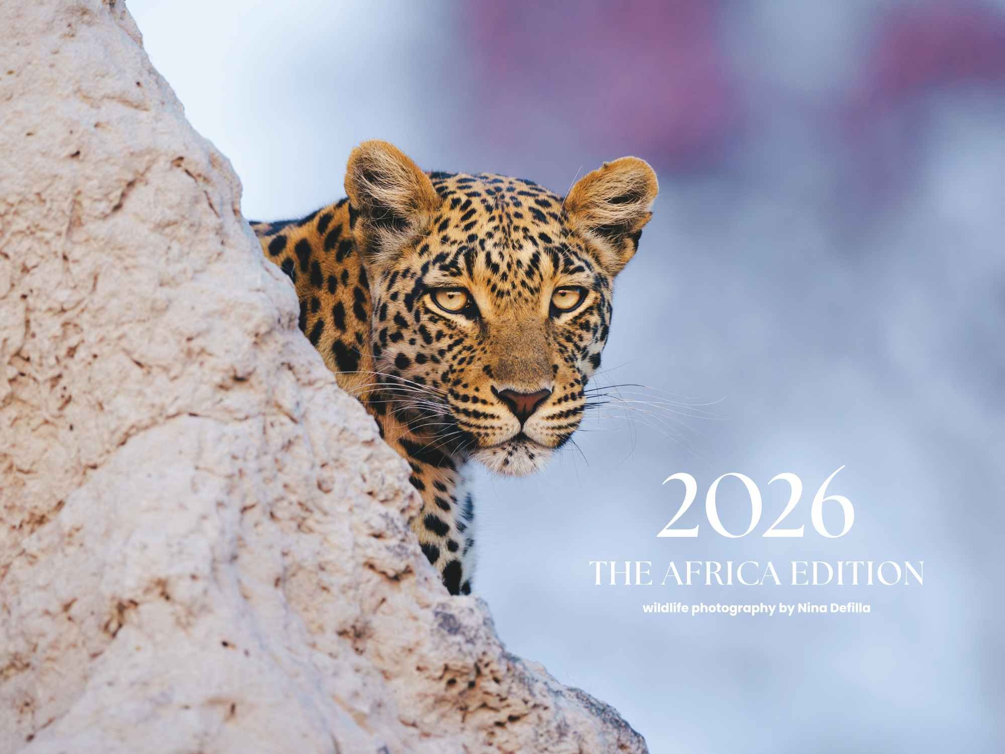 The Africa Edition_ Front Cover.jpg