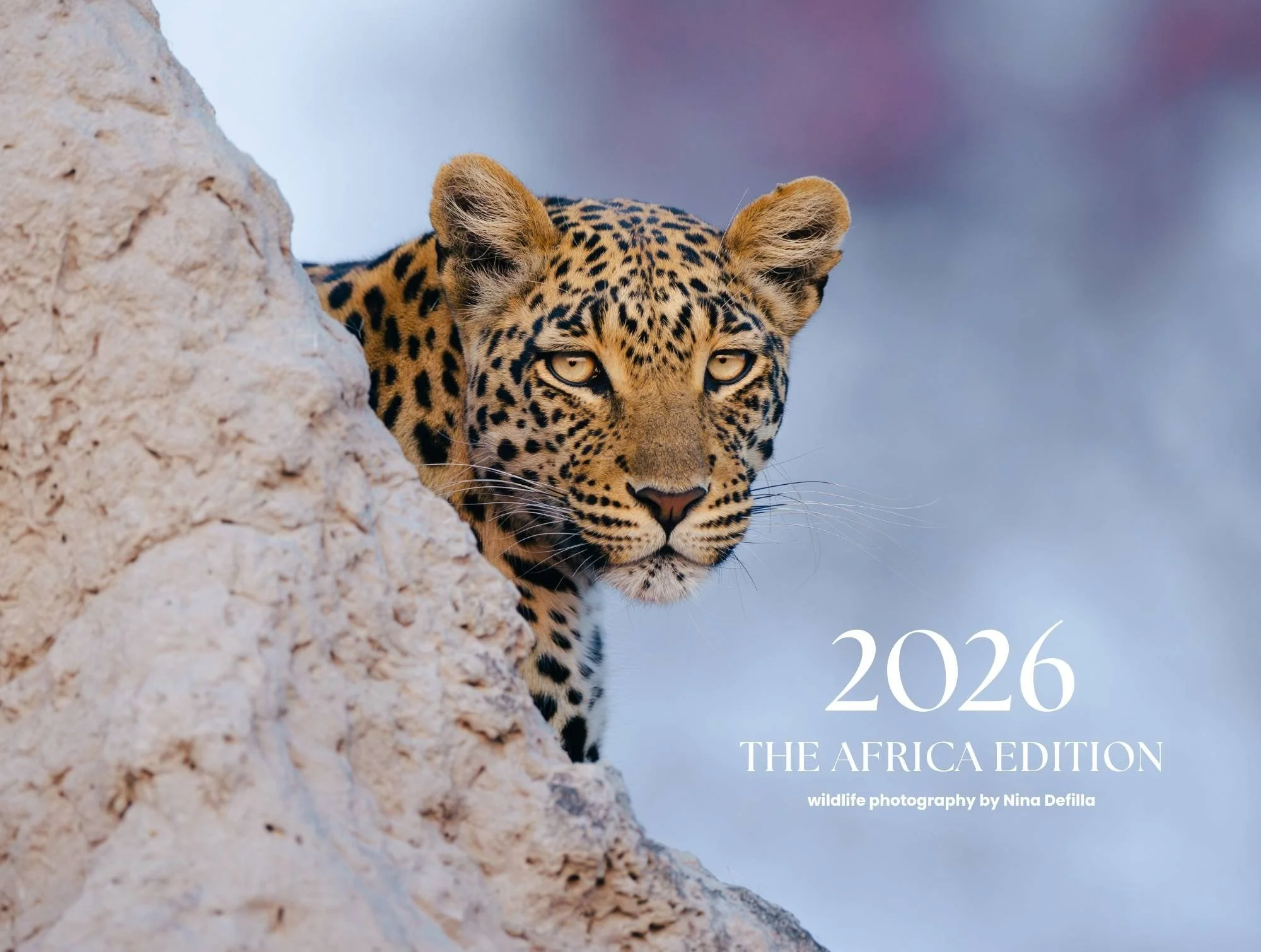 The Africa Collection 2026.jpg