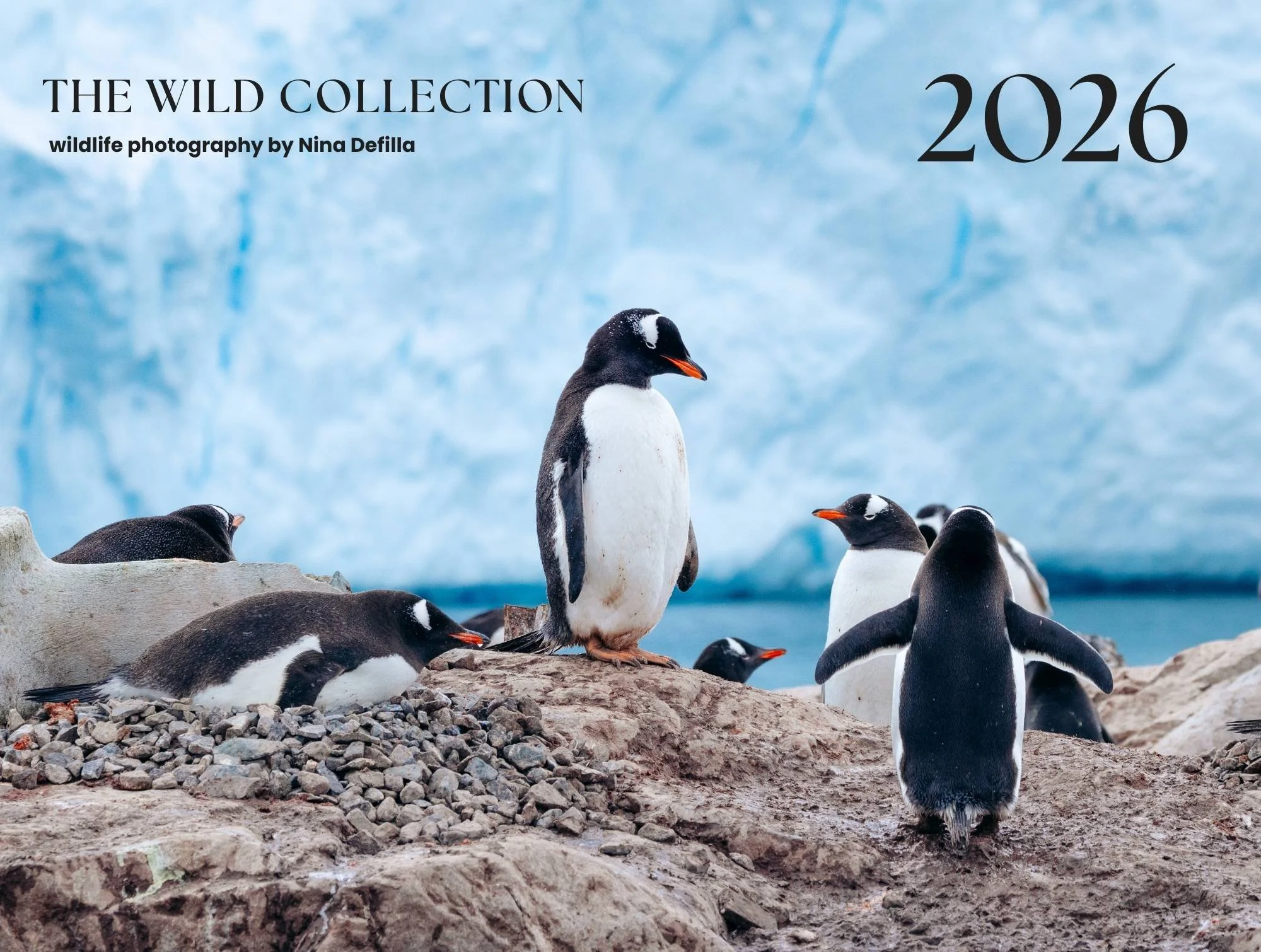 The Wild Collection 2026.jpg