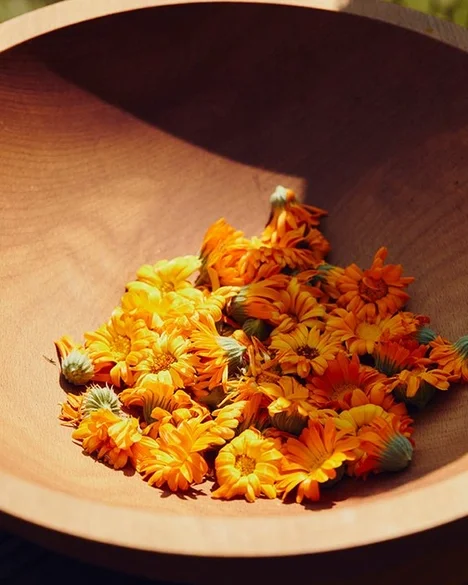 Tu meadow in bowl ad92d725f2df144dcd66799c51272d57b3b84198ad4a717eaebb1d1d7d8fed43.webp