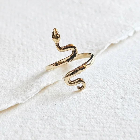 bisjoux snake ring 58c171c630e824500f86f2673e9a02b4893b8facc5fc584337884d01a649d33b.webp