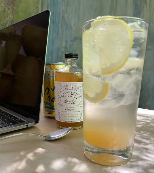 shrub ginger non alchohol 384429193521e1b01a5529c0e233fc1c6dfbae8b0e871e272d127ca33a1928b3.webp