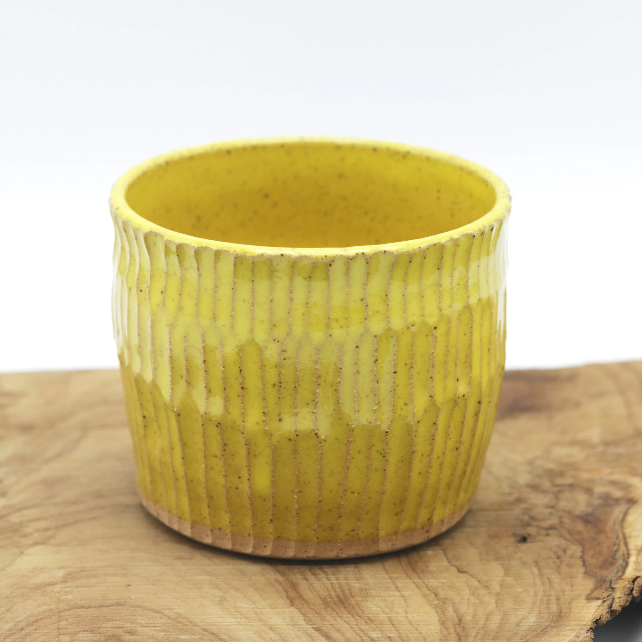 Ceramic Cacti Planters