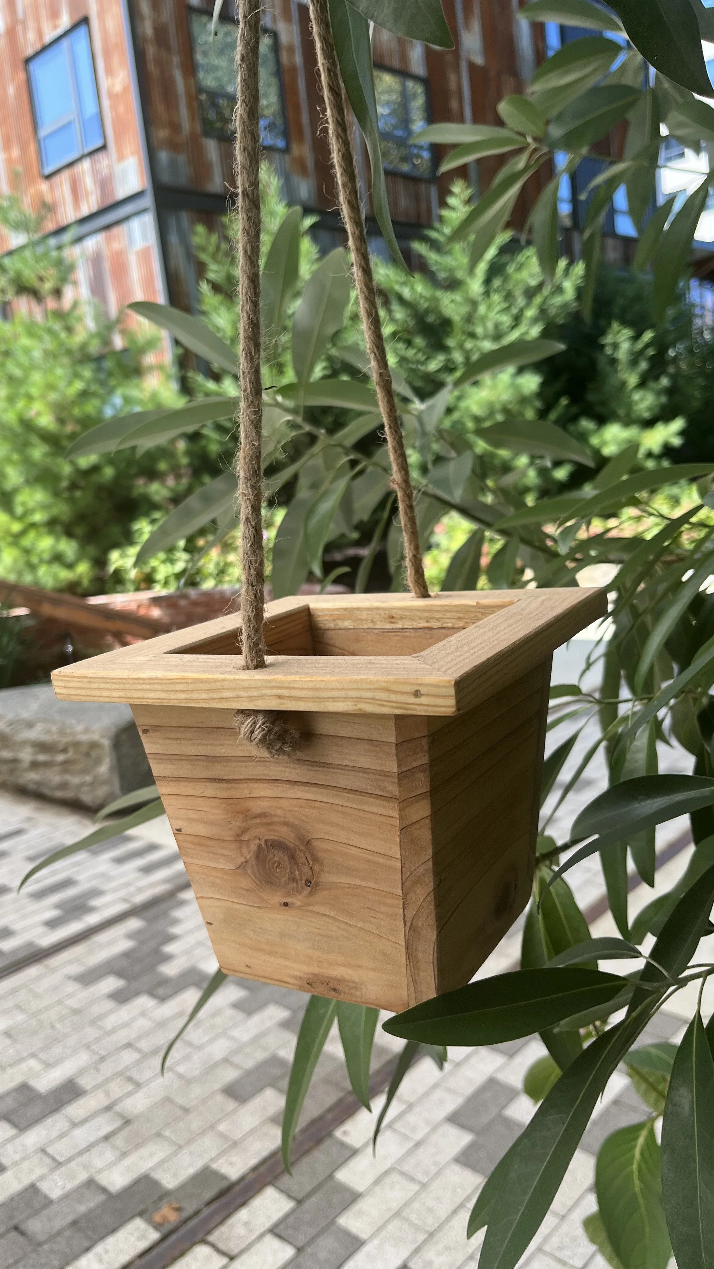 dashawn hanging plain IMG_2962.jpeg