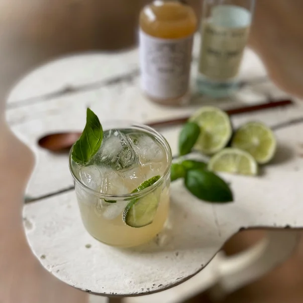 shrub lime with limes 1fdf1b5f55ca3949d31d6a1bfad96258b903006d57ac49e3887ea26f9ef38d1f.webp