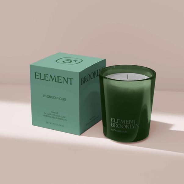 element ficus with box.png